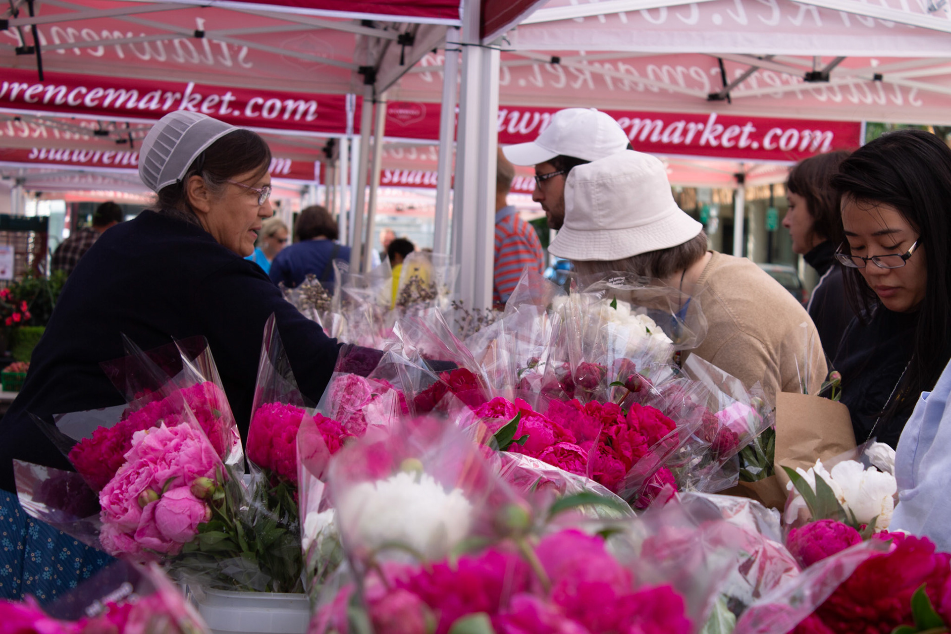 cometothemarket@gmail.com