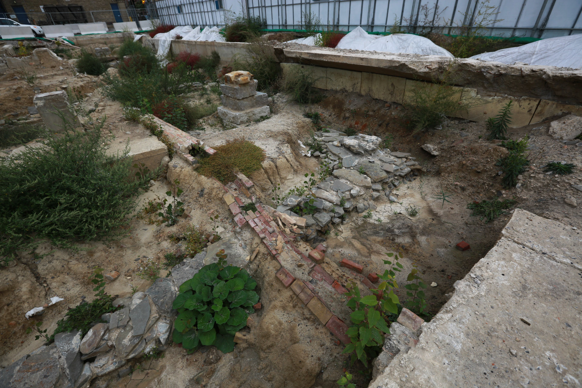 cometothemarket@gmail.com