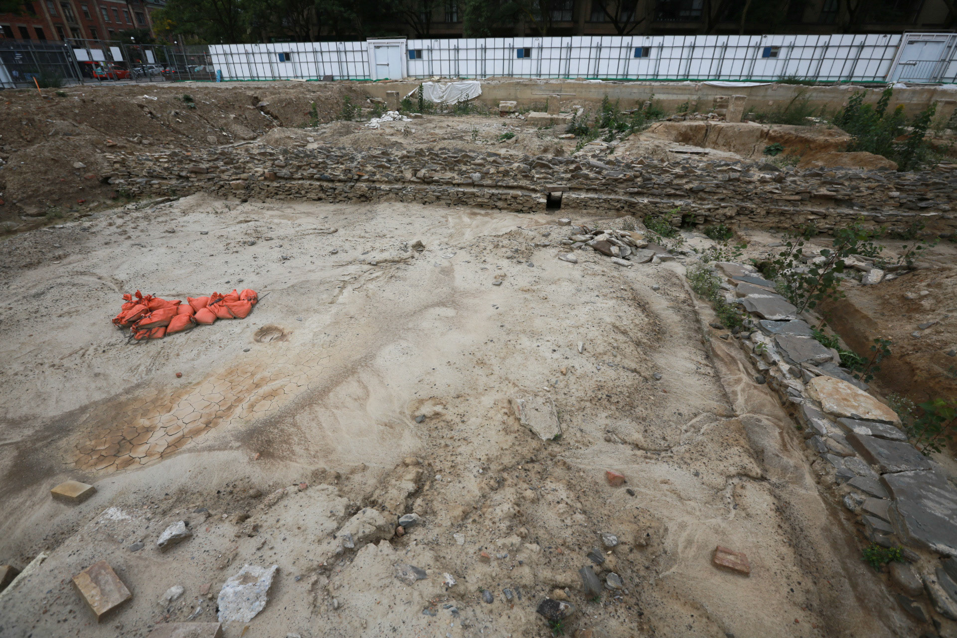 cometothemarket@gmail.com