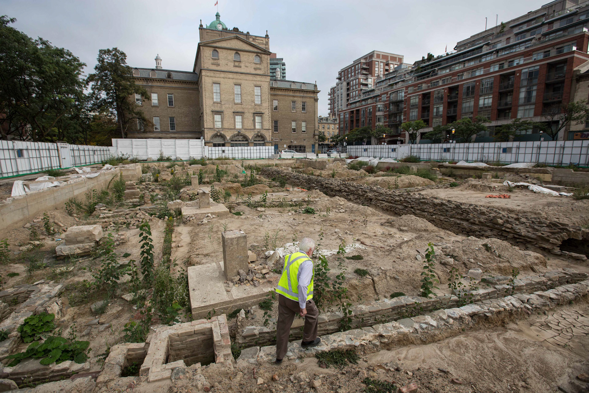 cometothemarket@gmail.com