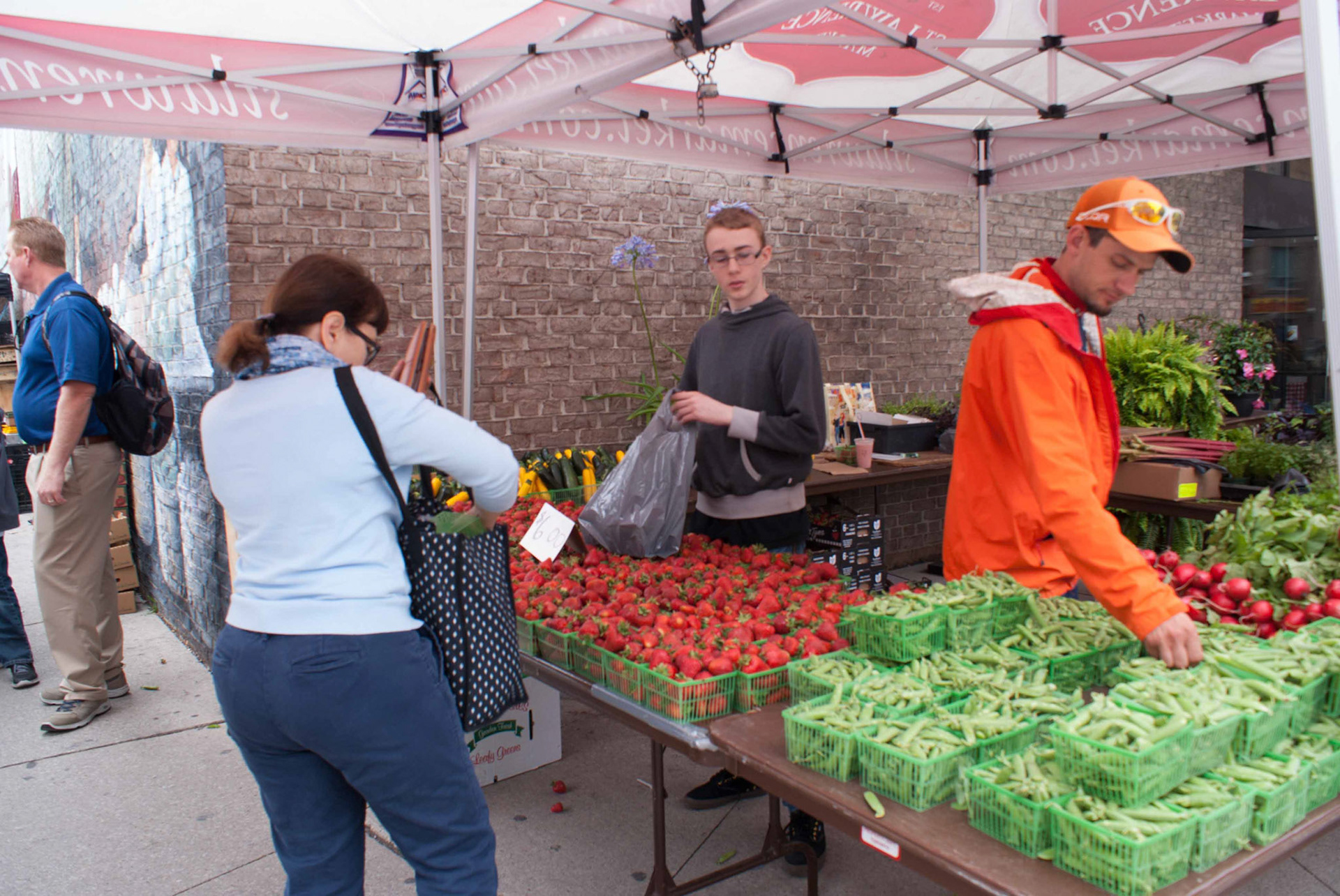 cometothemarket@gmail.com