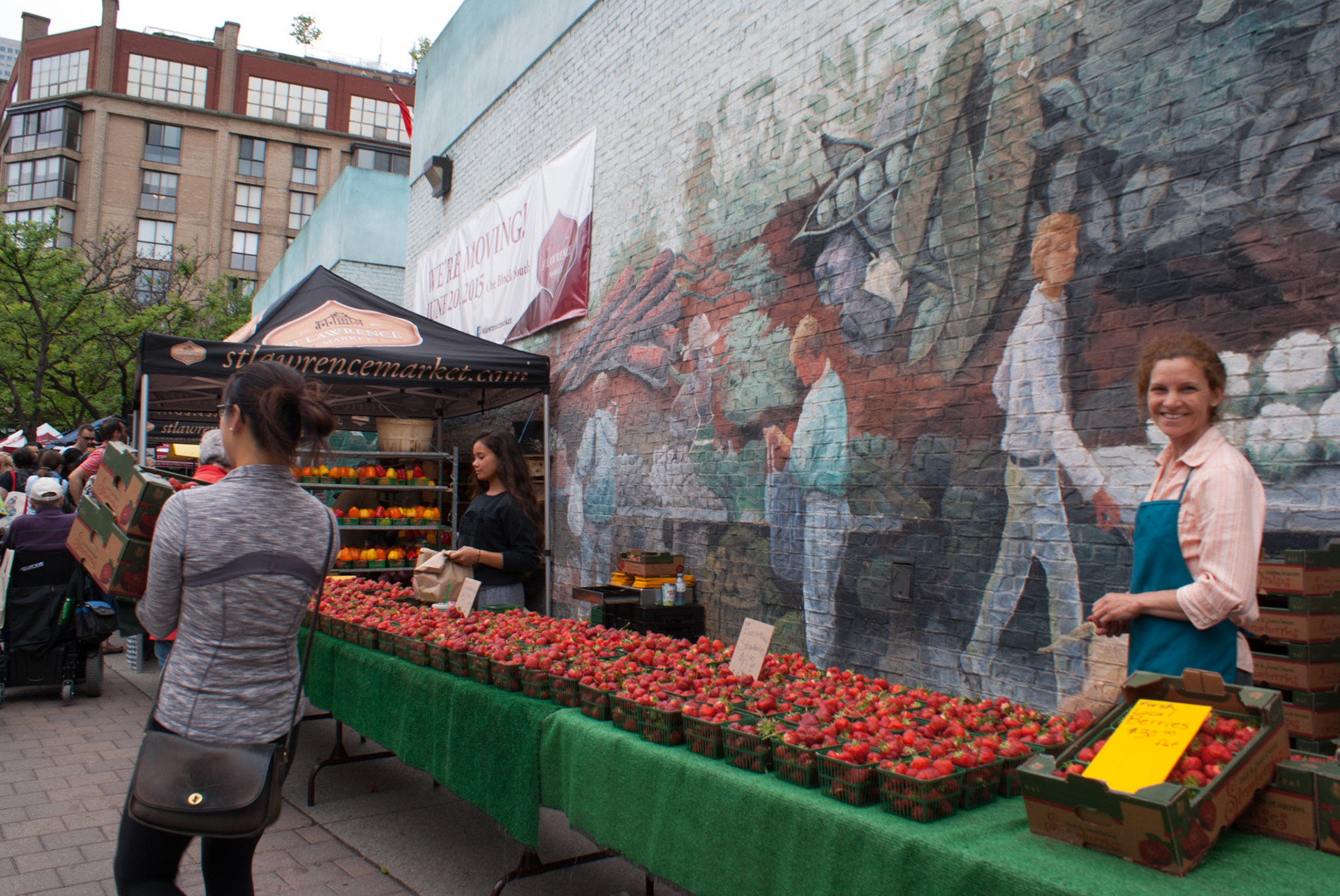 cometothemarket@gmail.com