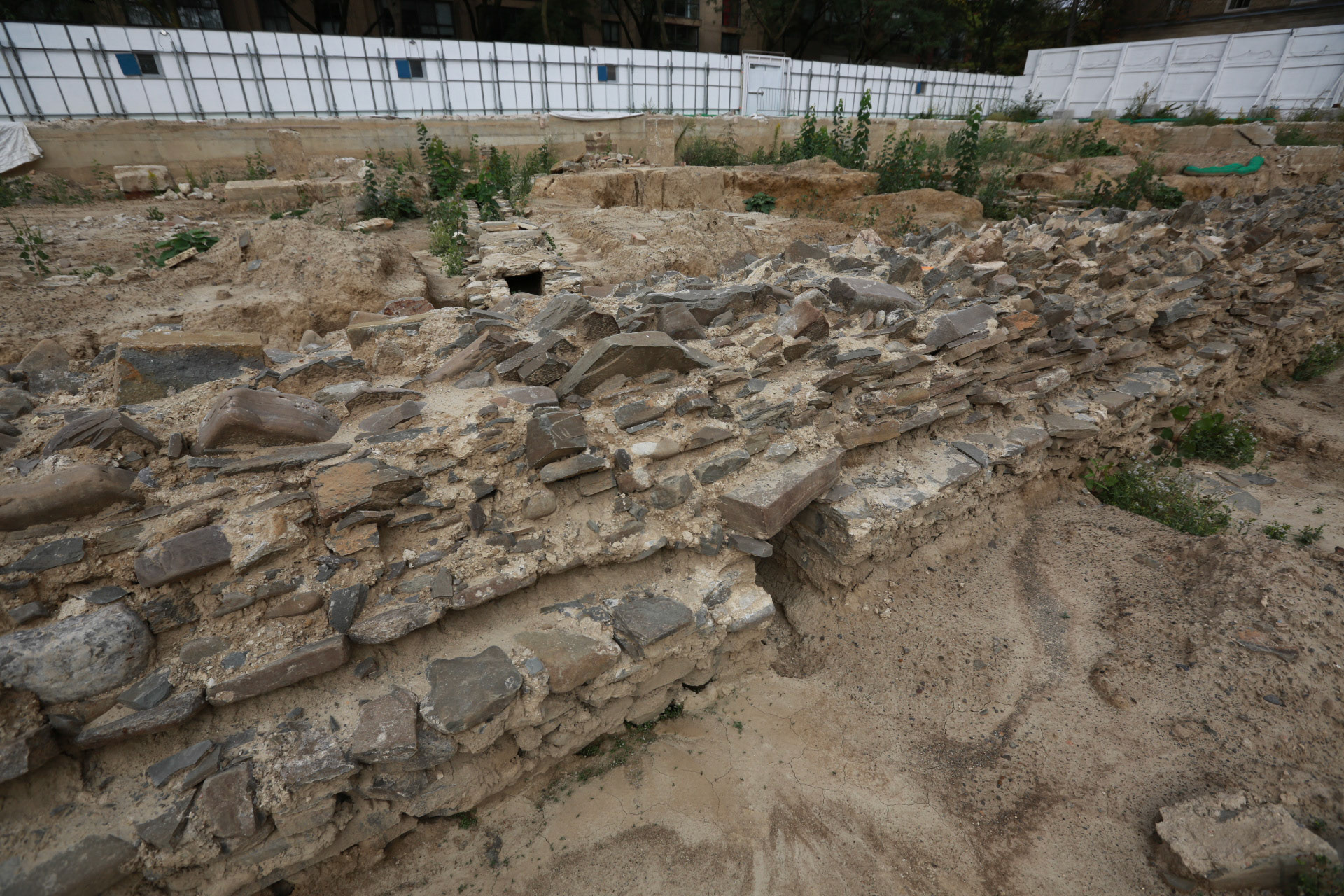 cometothemarket@gmail.com