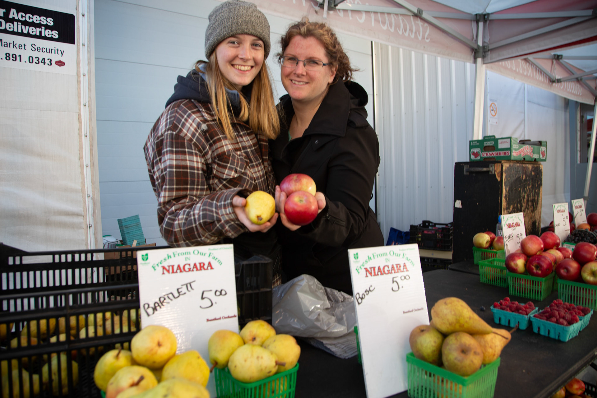 cometothemarket@gmail.com