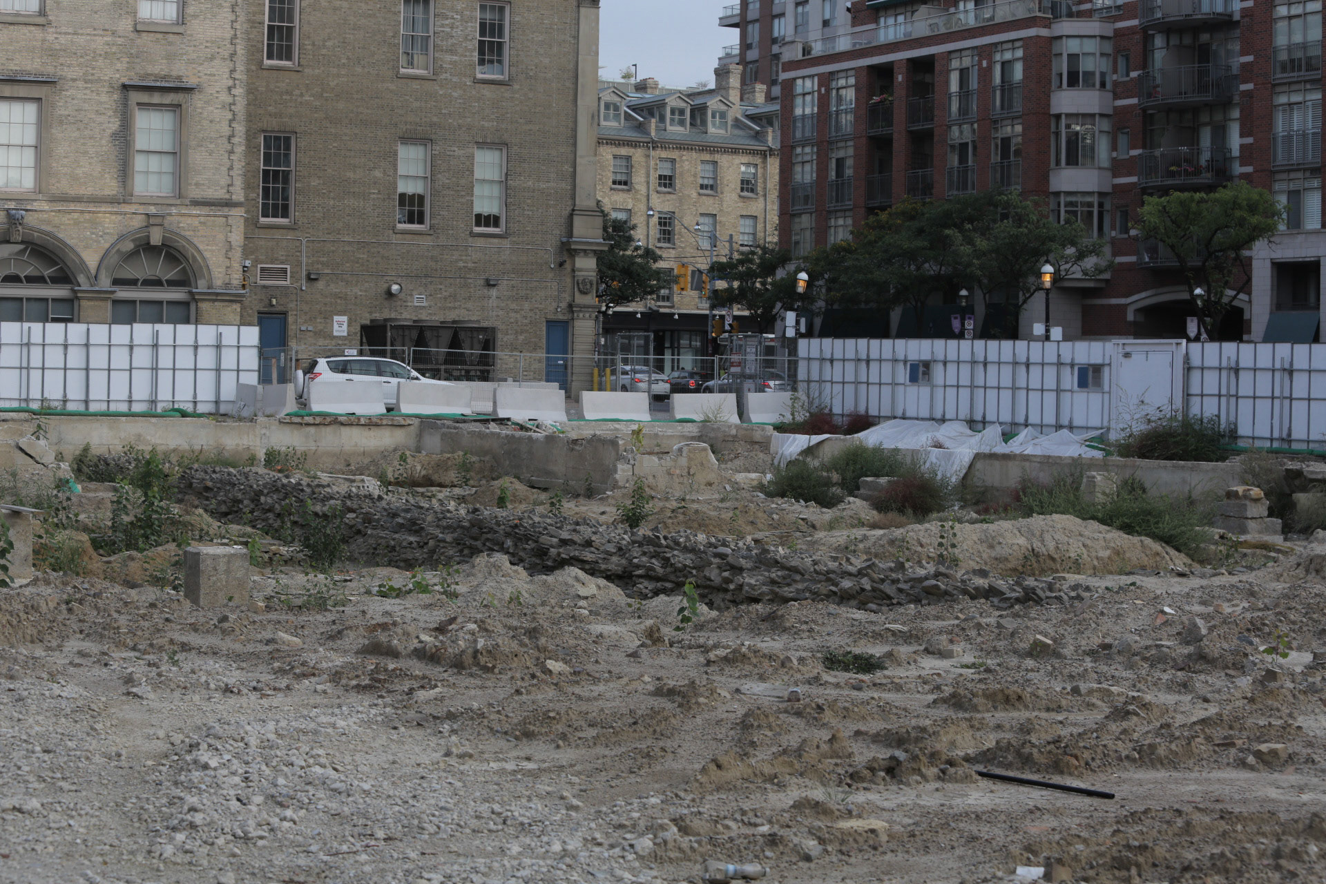 cometothemarket@gmail.com