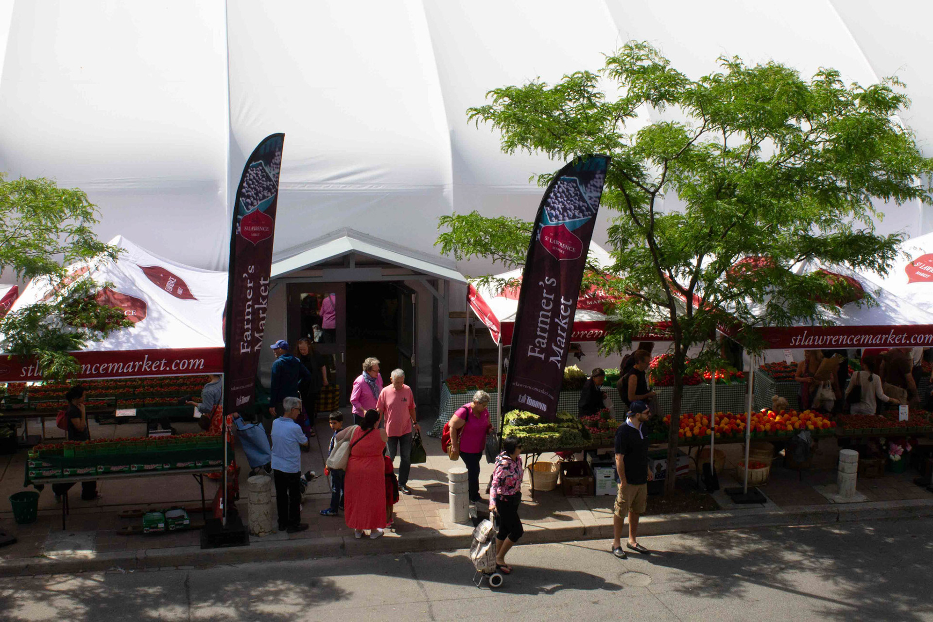 cometothemarket@gmail.com