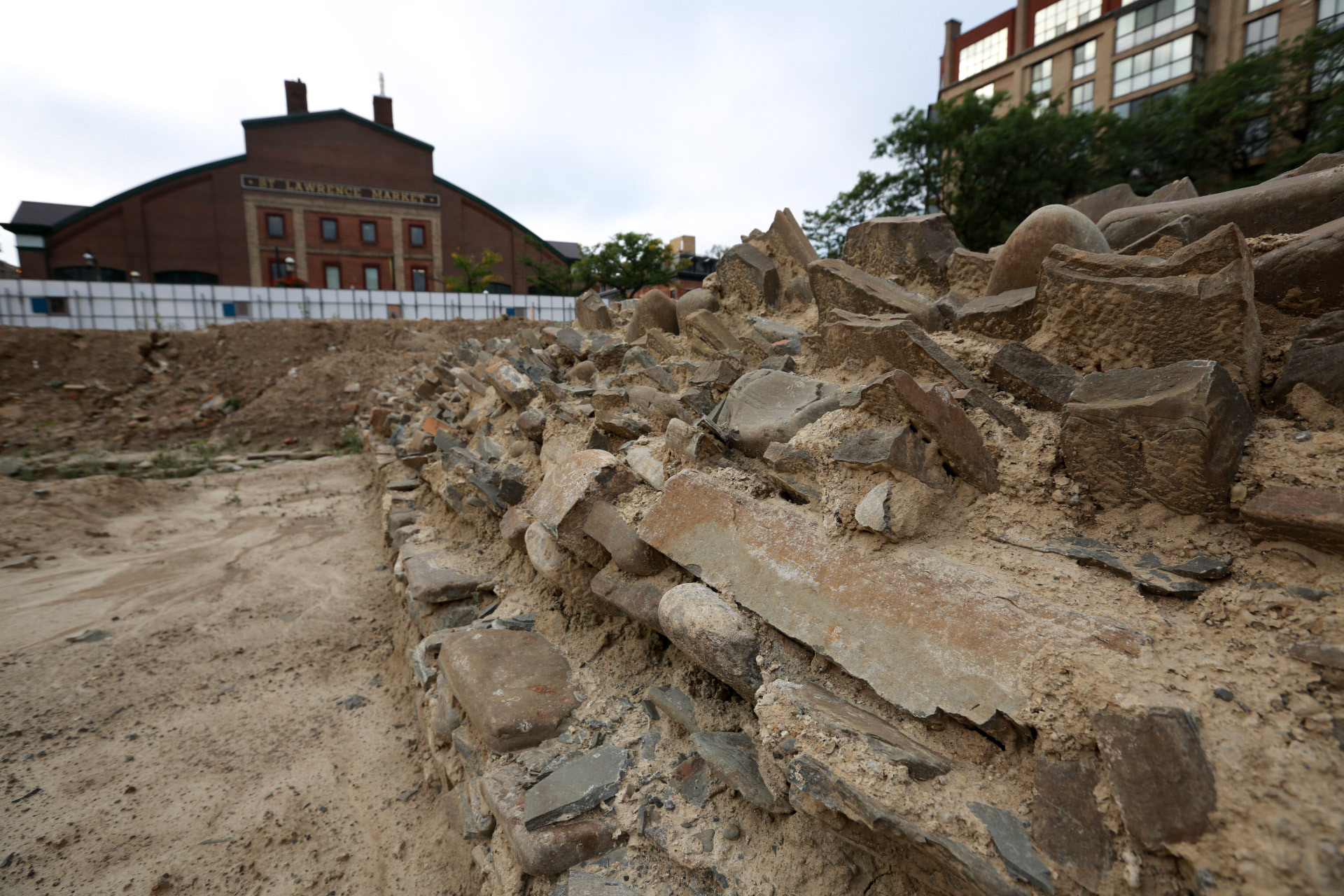 cometothemarket@gmail.com