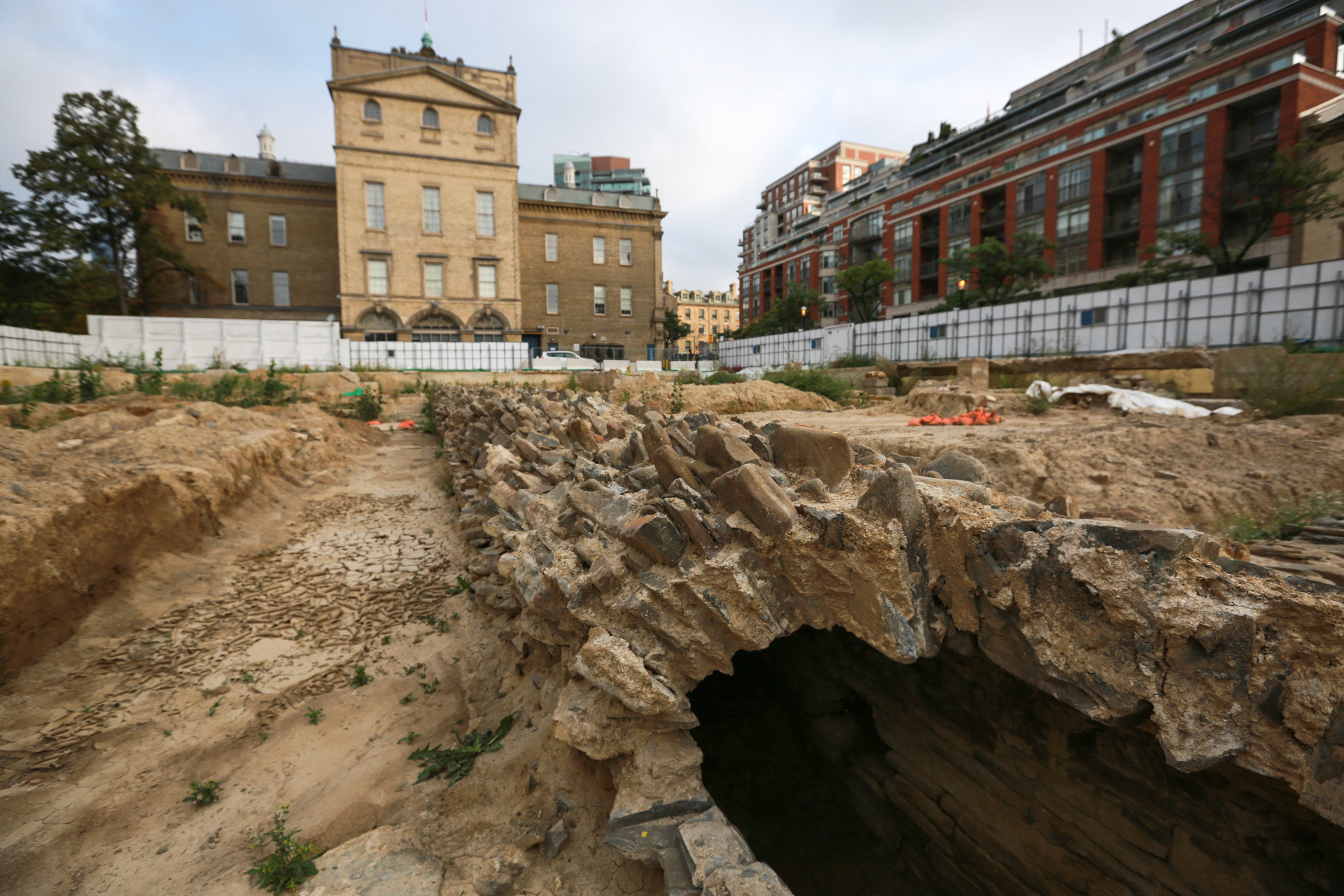 cometothemarket@gmail.com