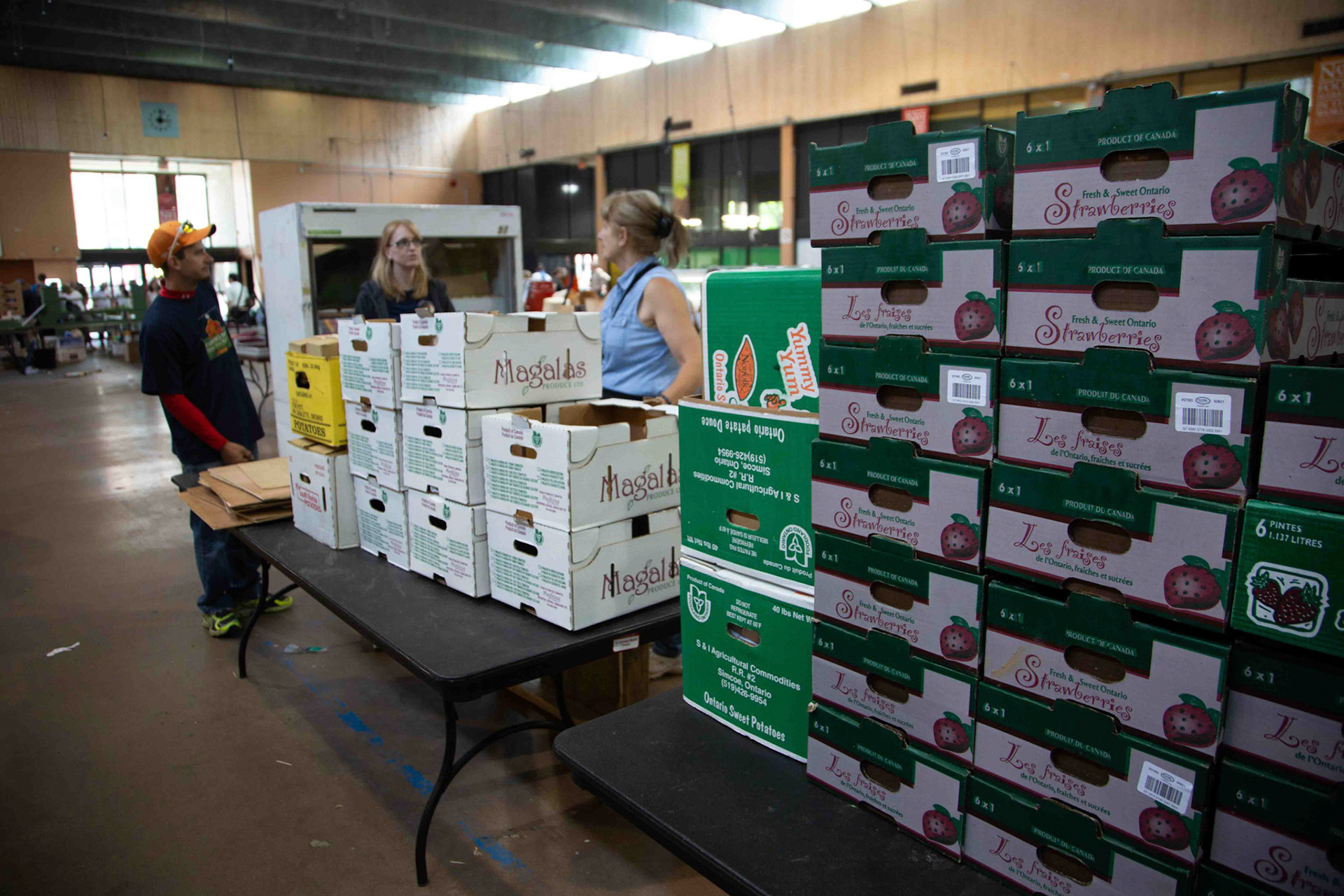 cometothemarket@gmail.com