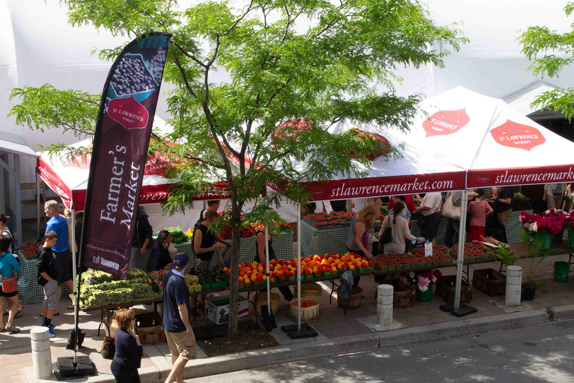 cometothemarket@gmail.com