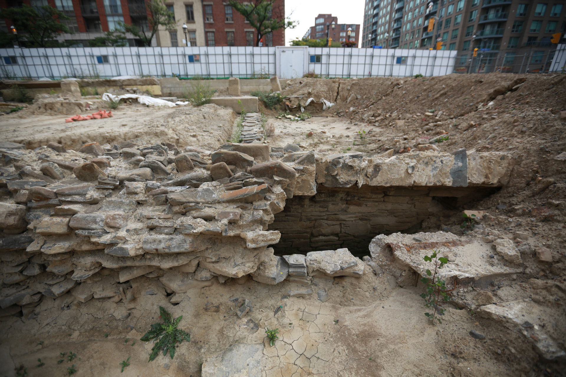 cometothemarket@gmail.com