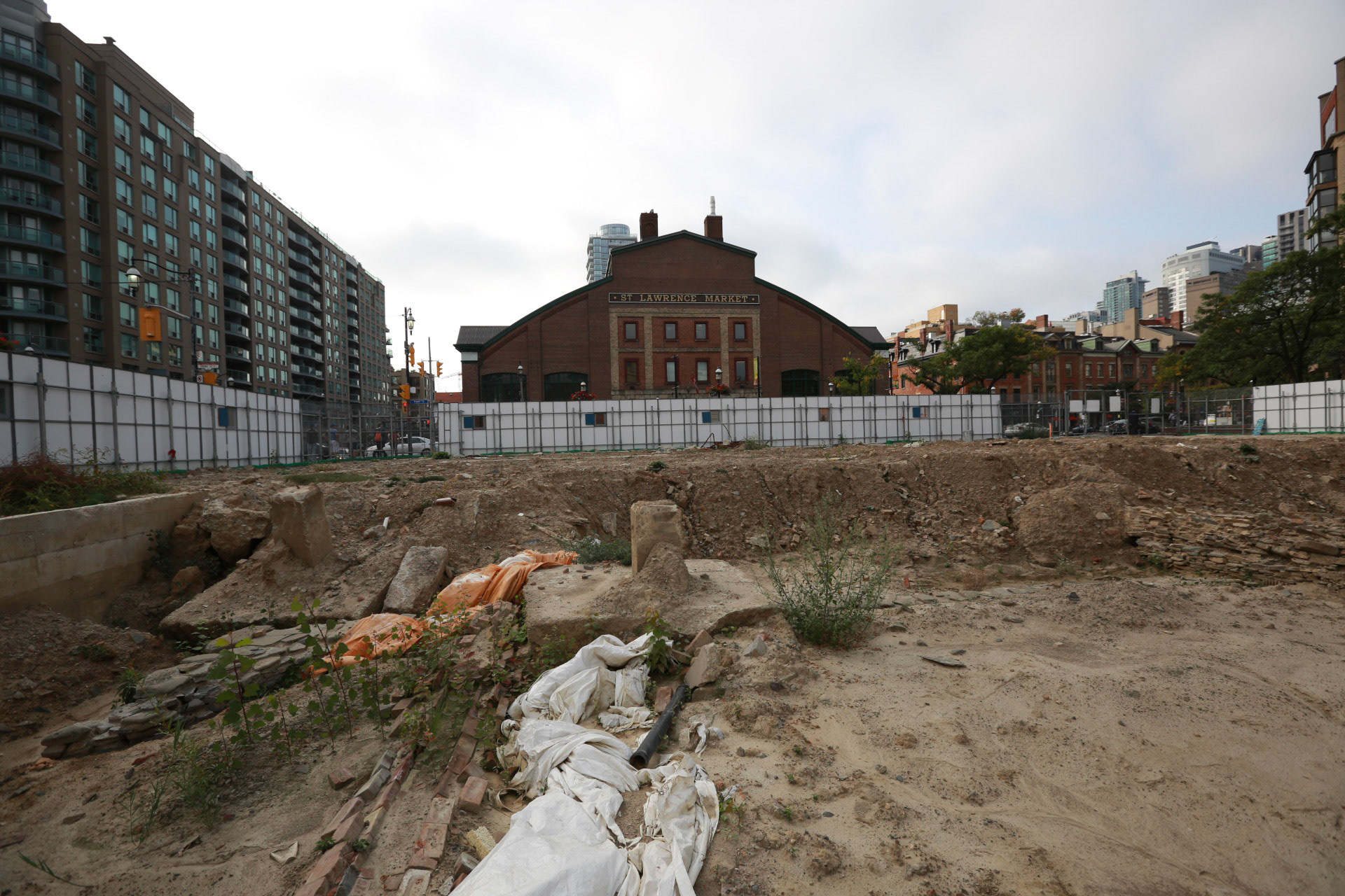 cometothemarket@gmail.com