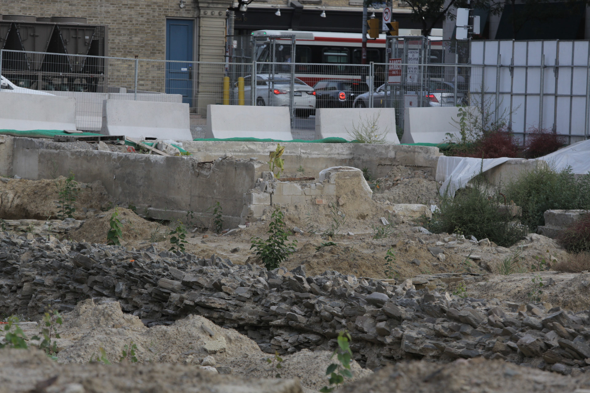 cometothemarket@gmail.com