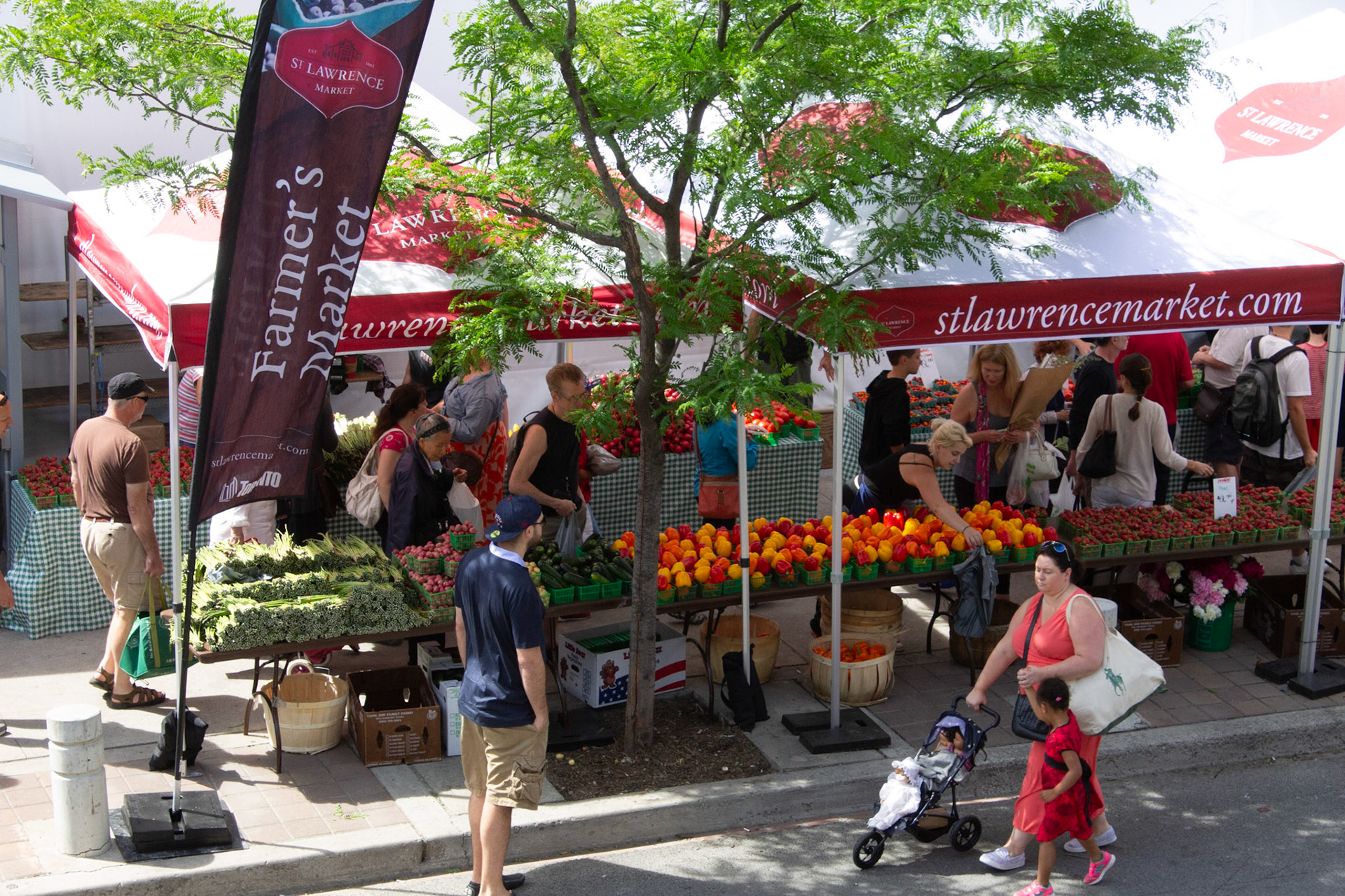 cometothemarket@gmail.com