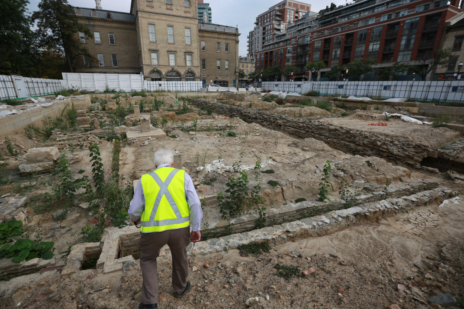 cometothemarket@gmail.com