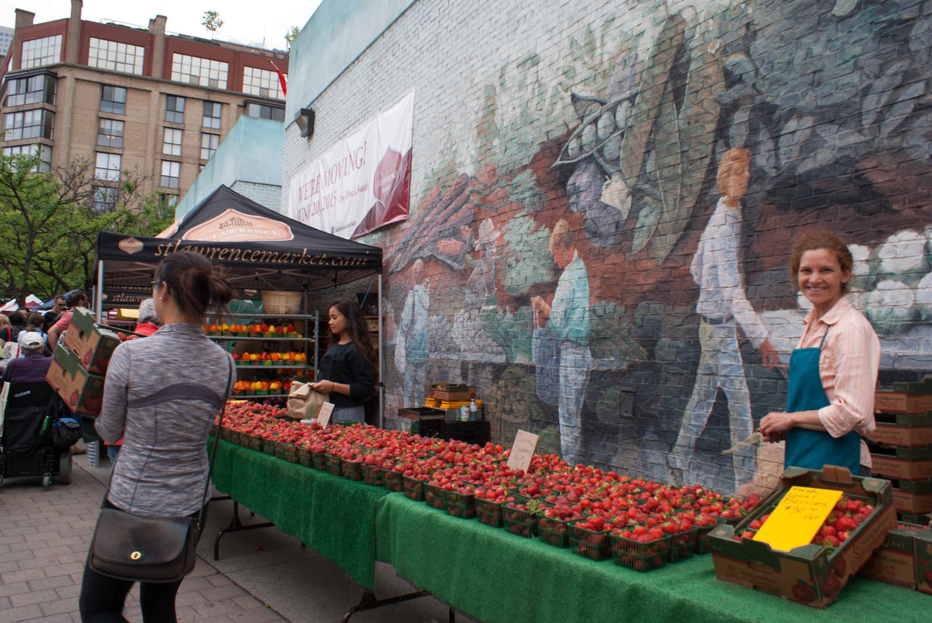 cometothemarket@gmail.com