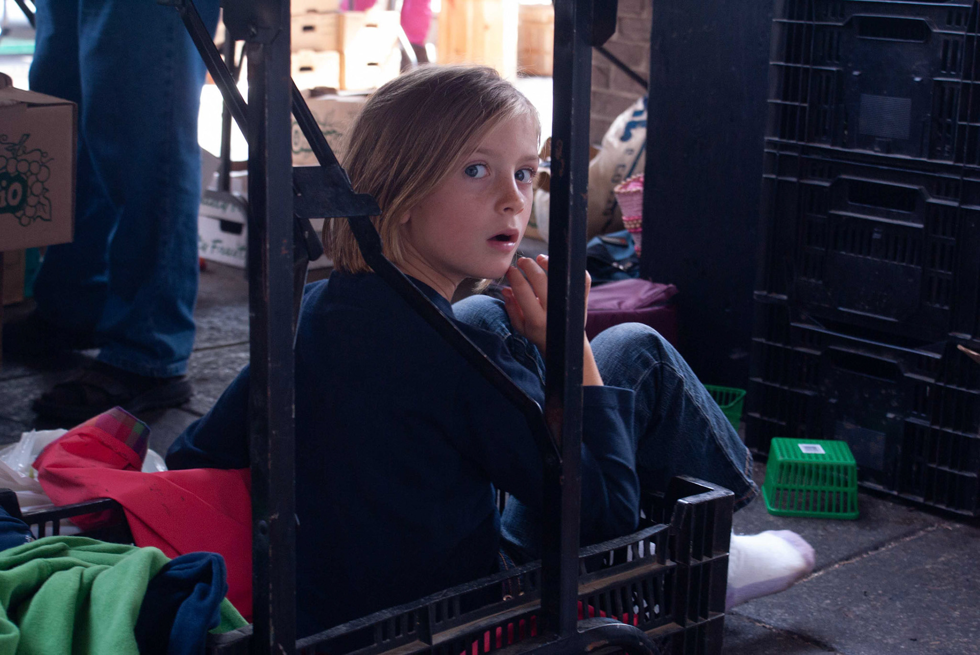 cometothemarket@gmail.com