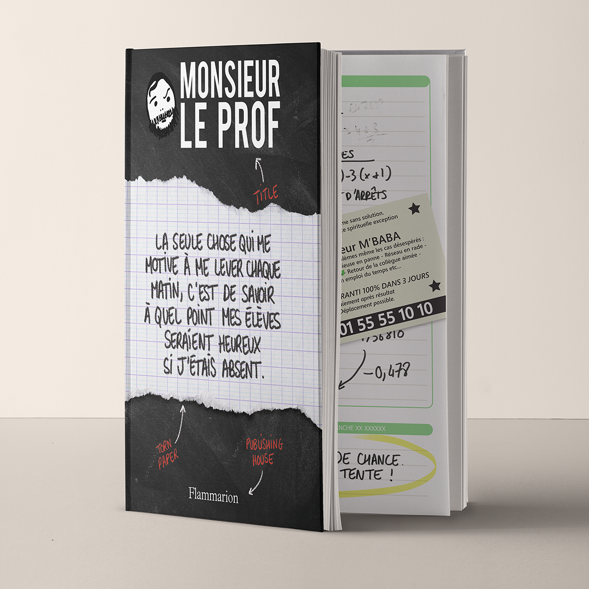 - Maquette et illustrations du livre Monsieur le Prof aux éditions Flammarion -