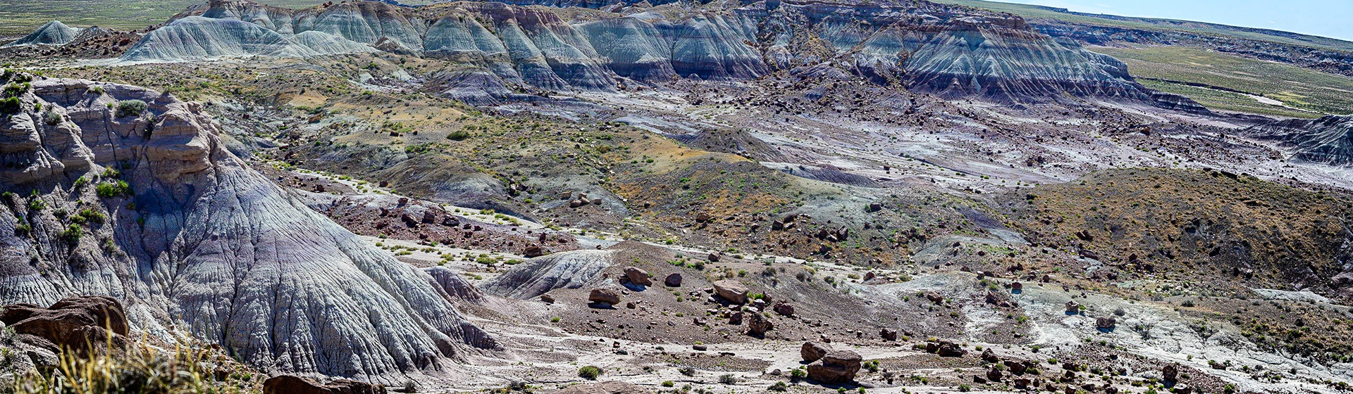 Petrified Forest