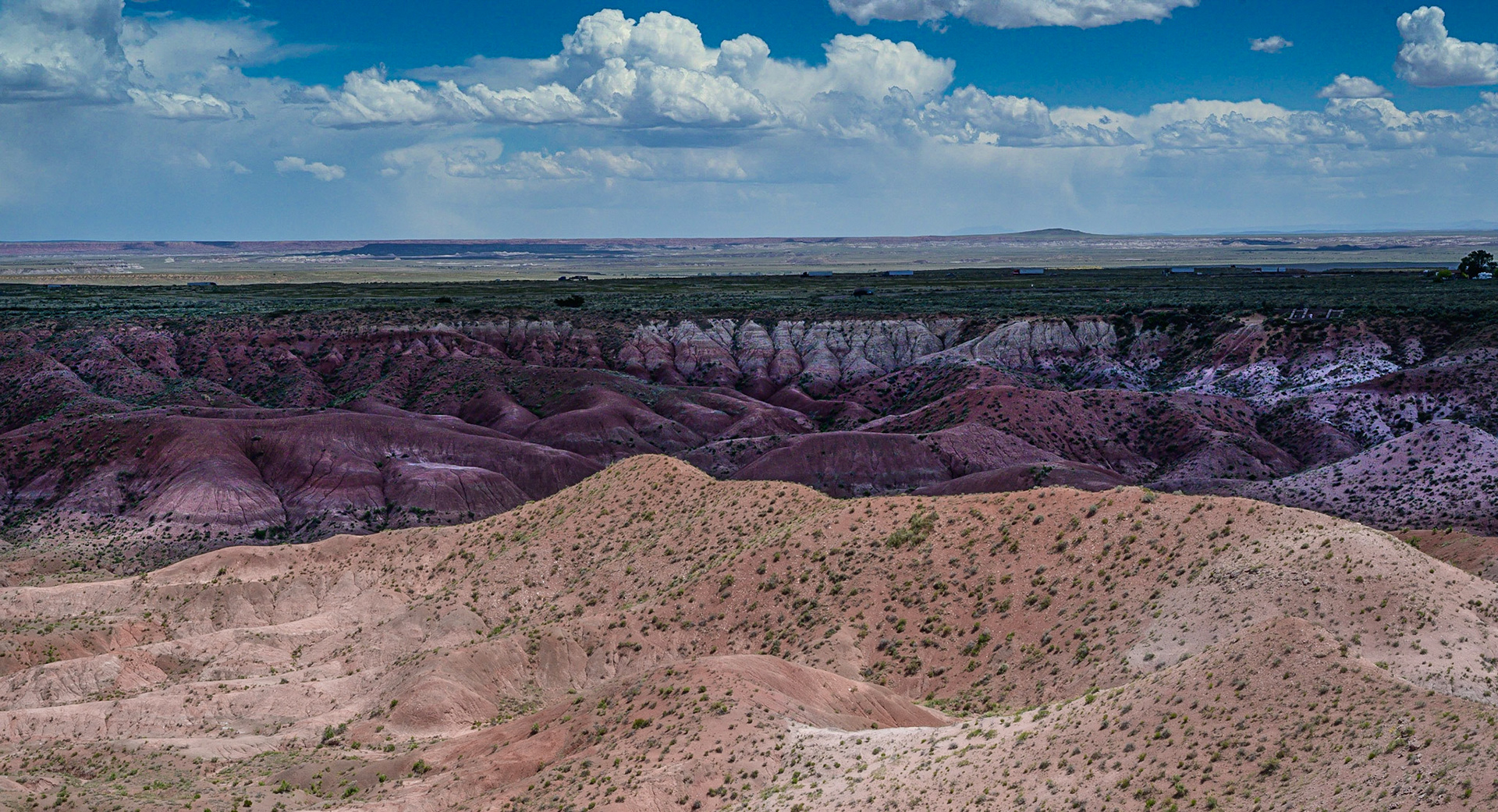 Painted desert