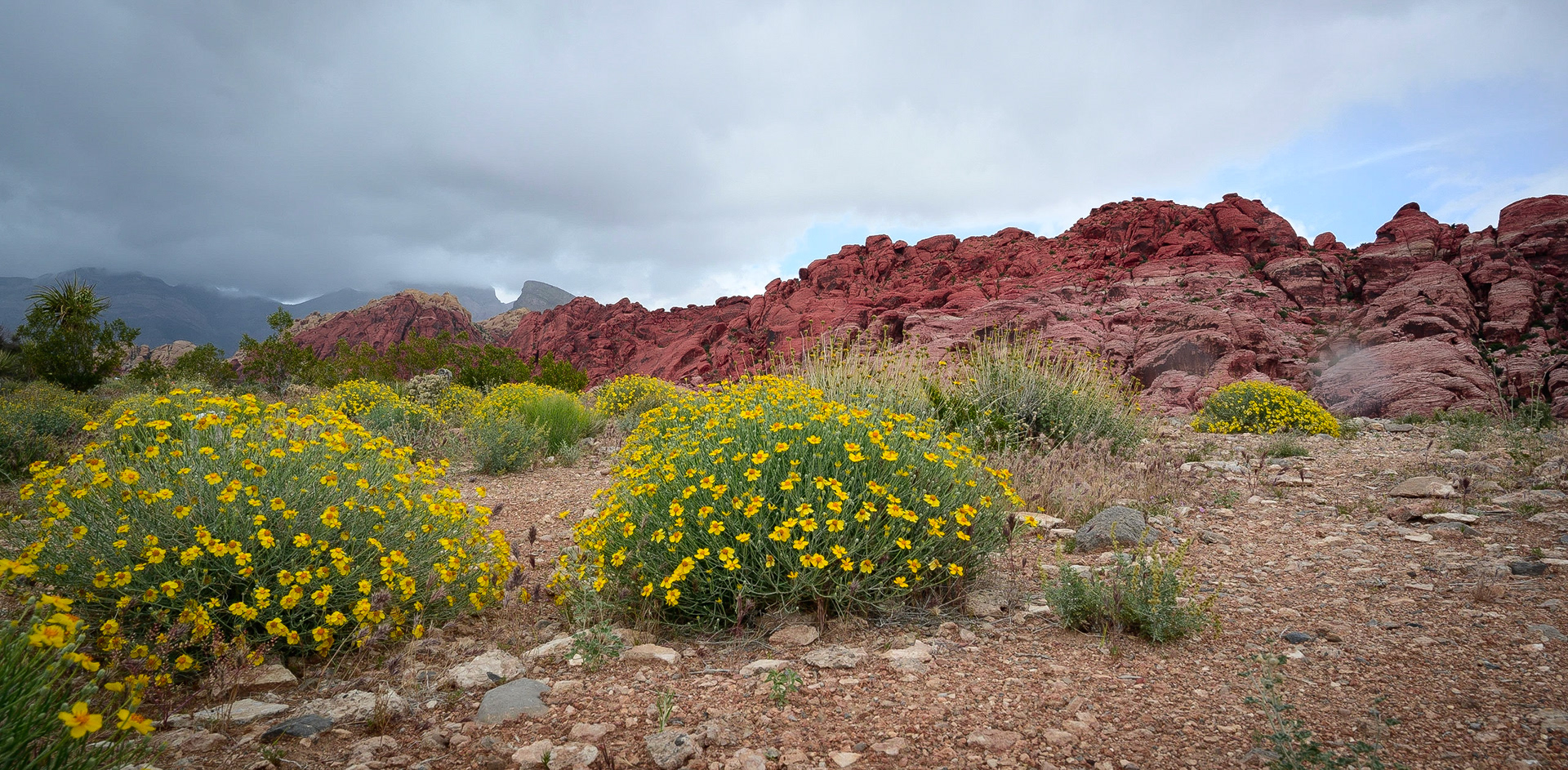 Red Rock Canyon