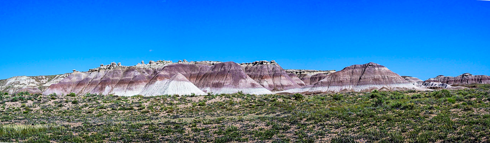 Painted Desert