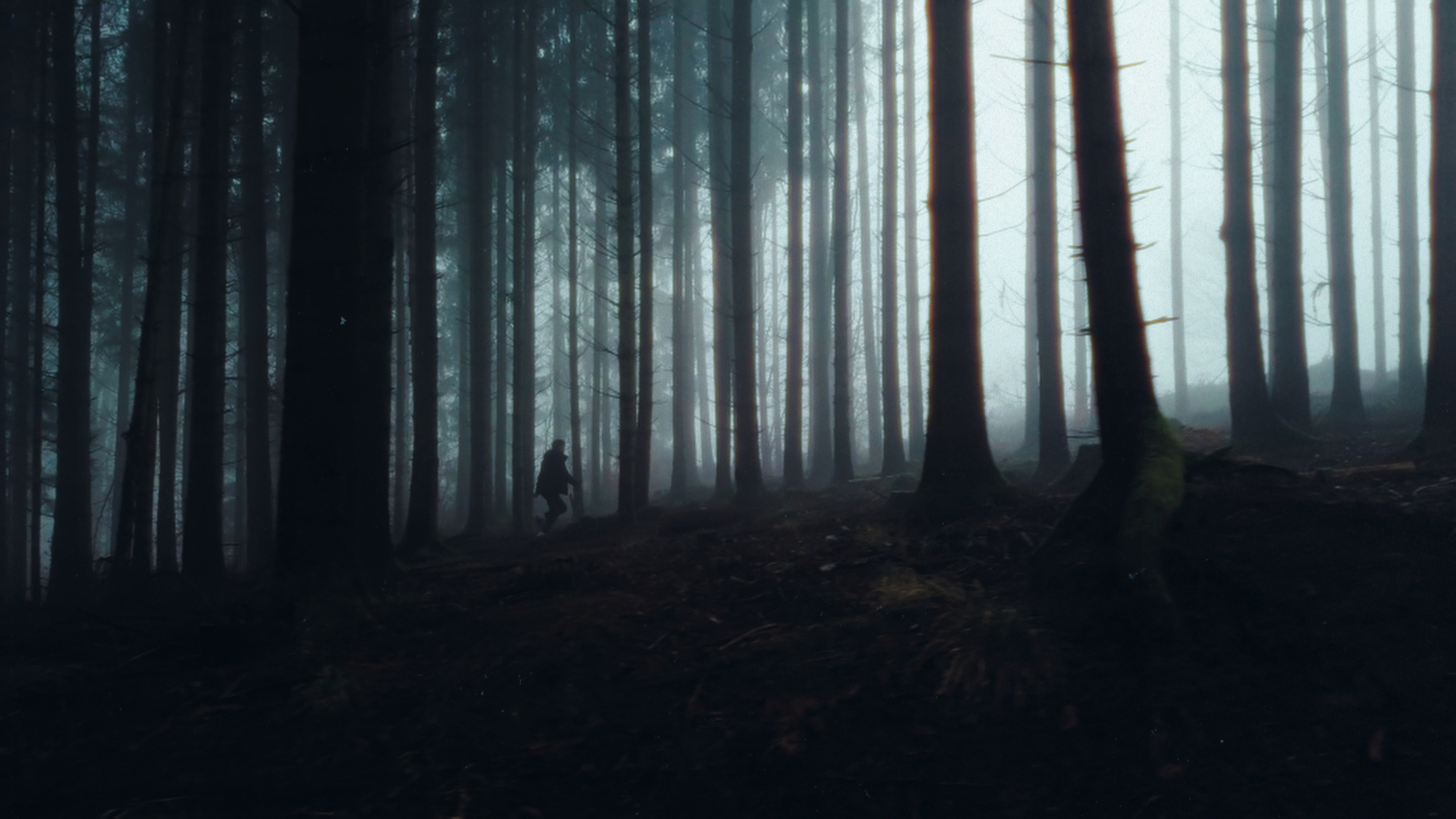 | Passion | Moodfilm