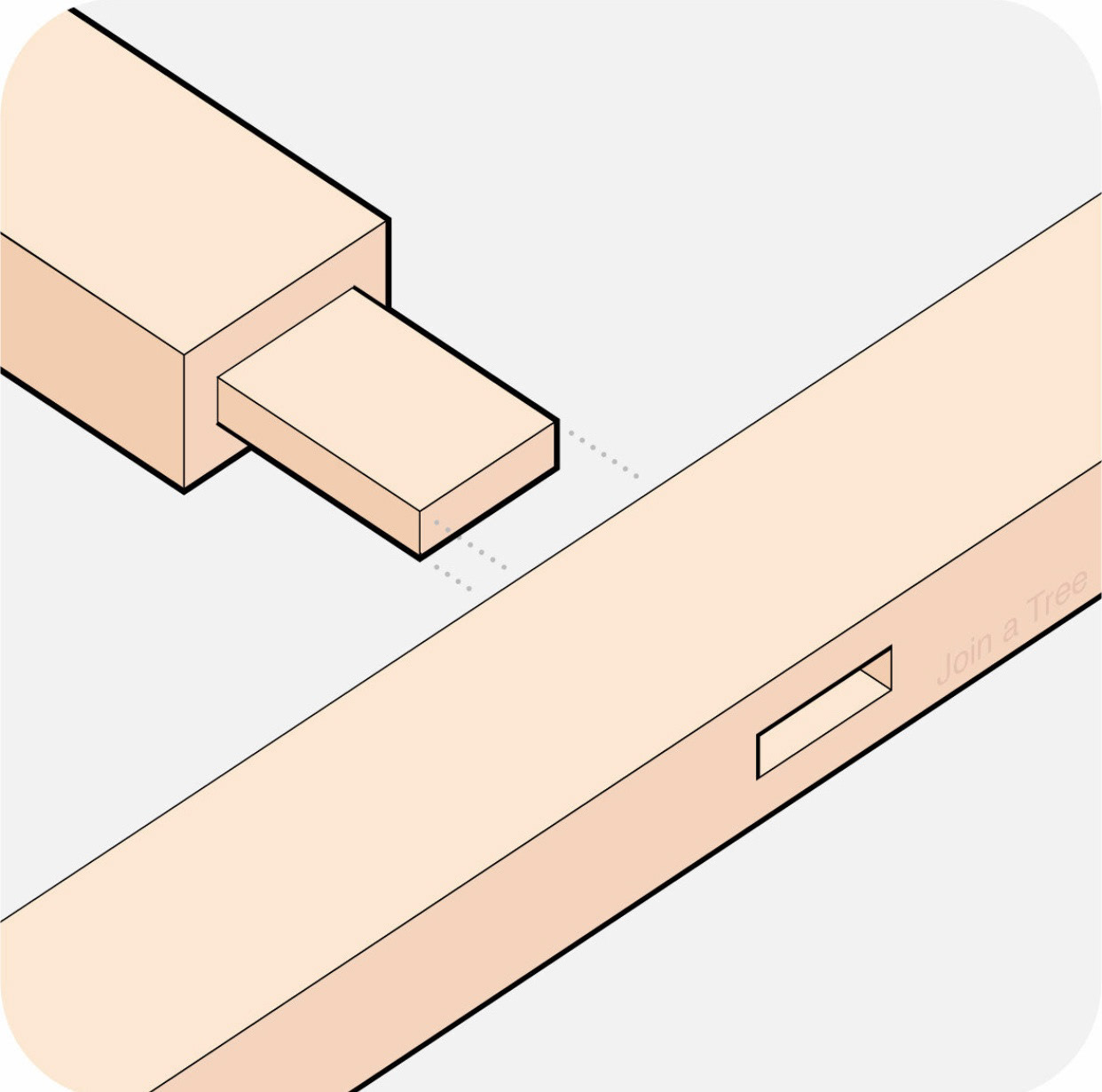 Through Tenon