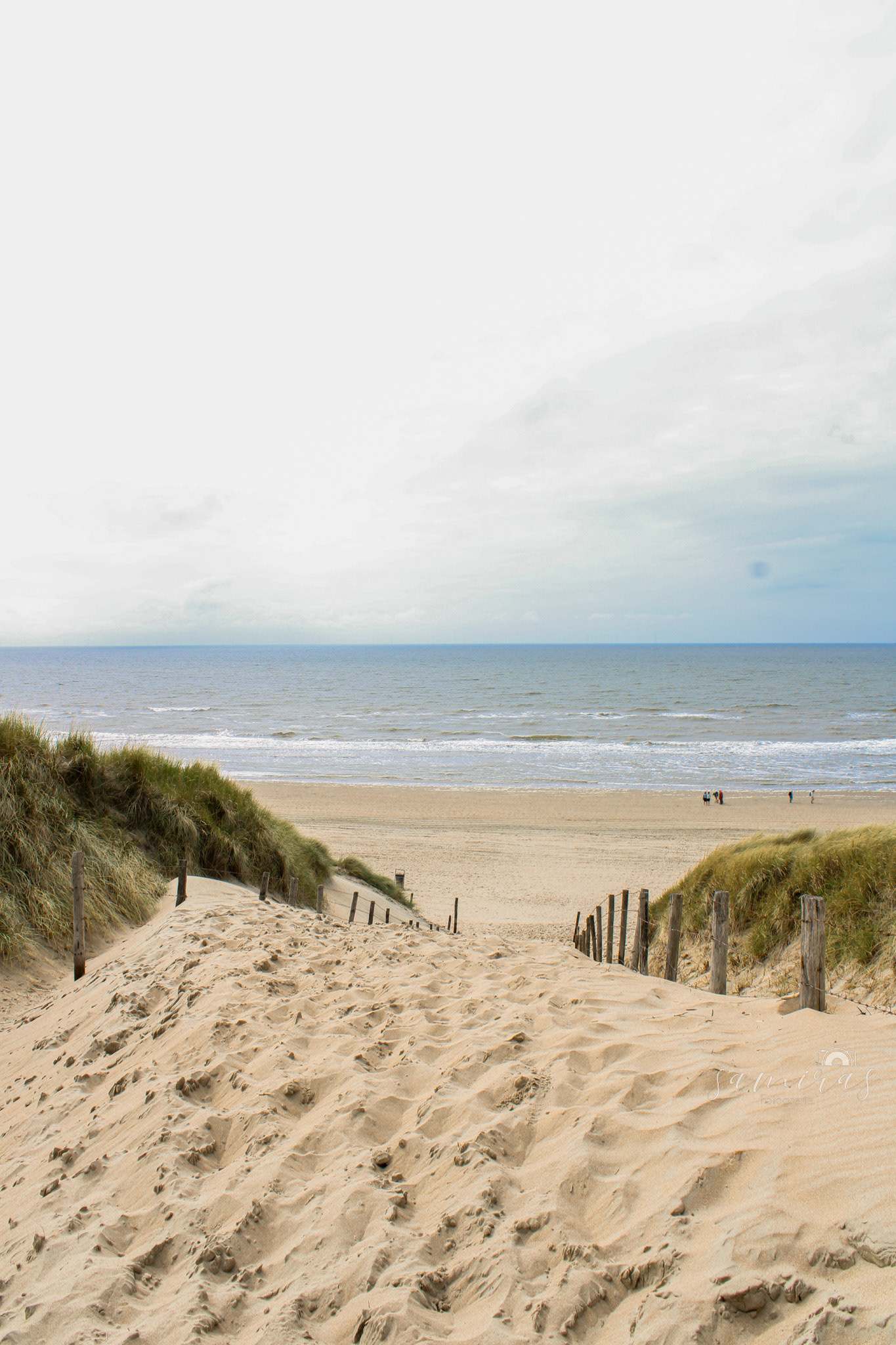 Zandvoort, Niederlande, 2023