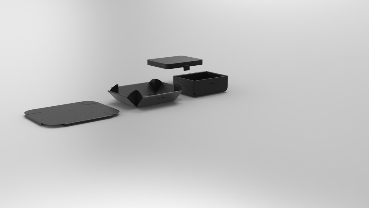 rough render