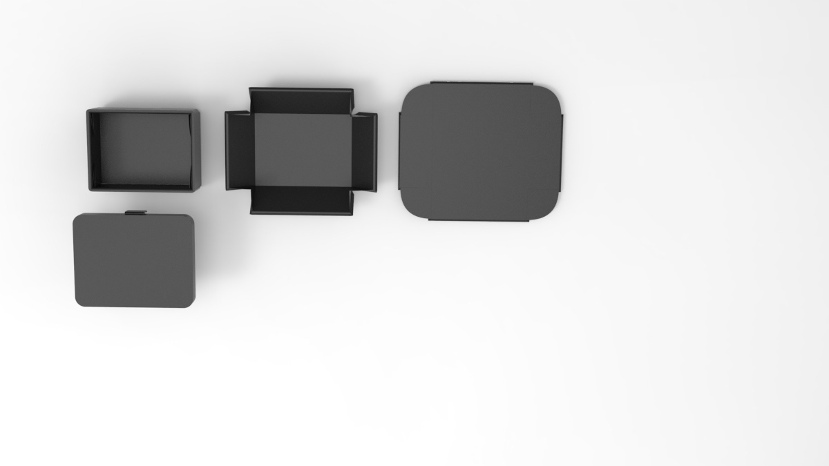 rough render