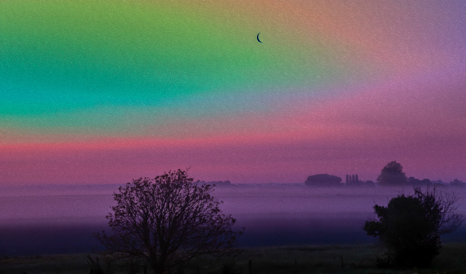 Provence Dawn