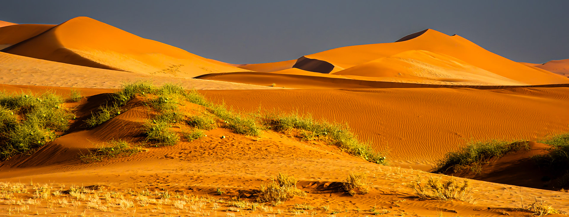 After the Wind Storm