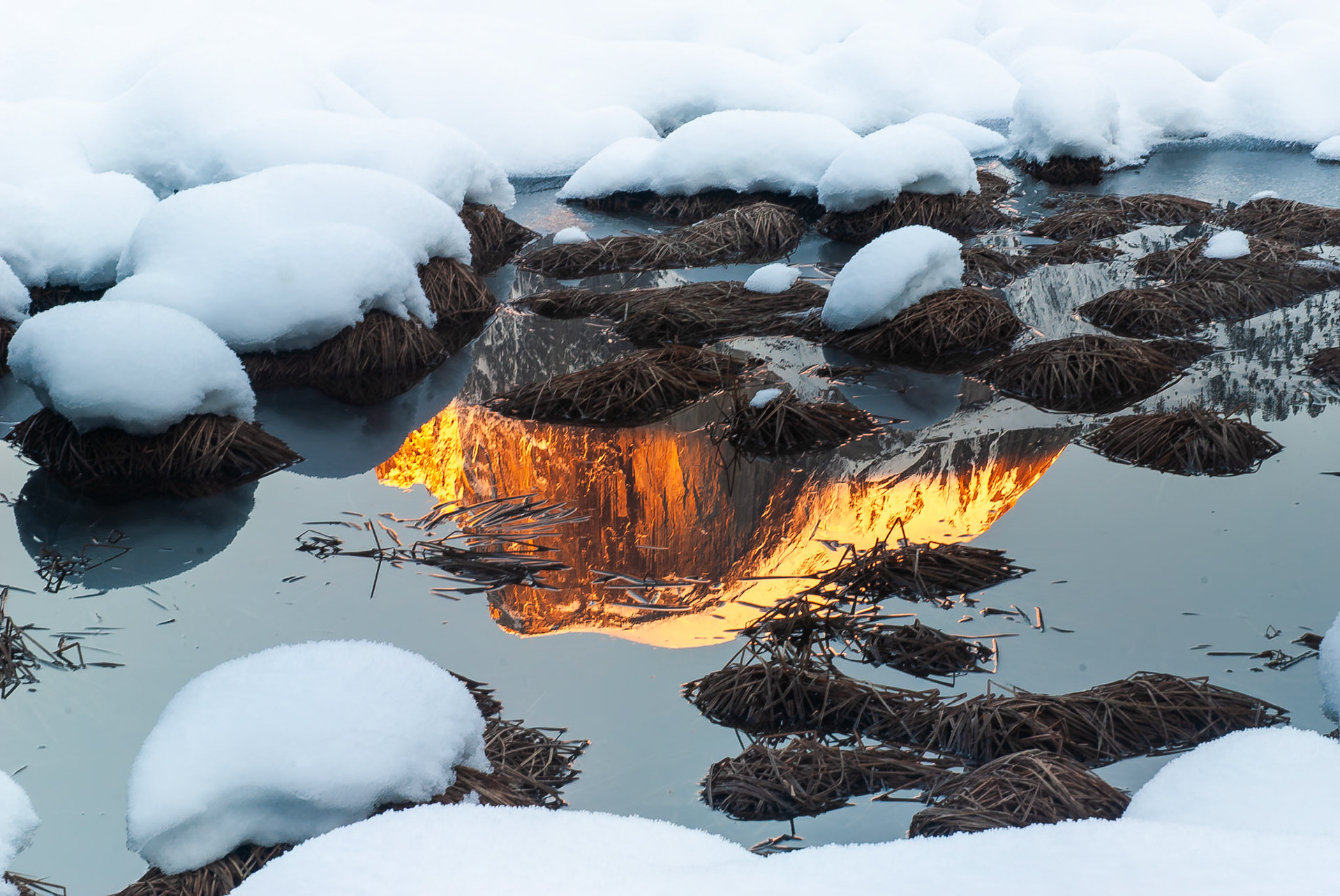 Reflection of Half Dome