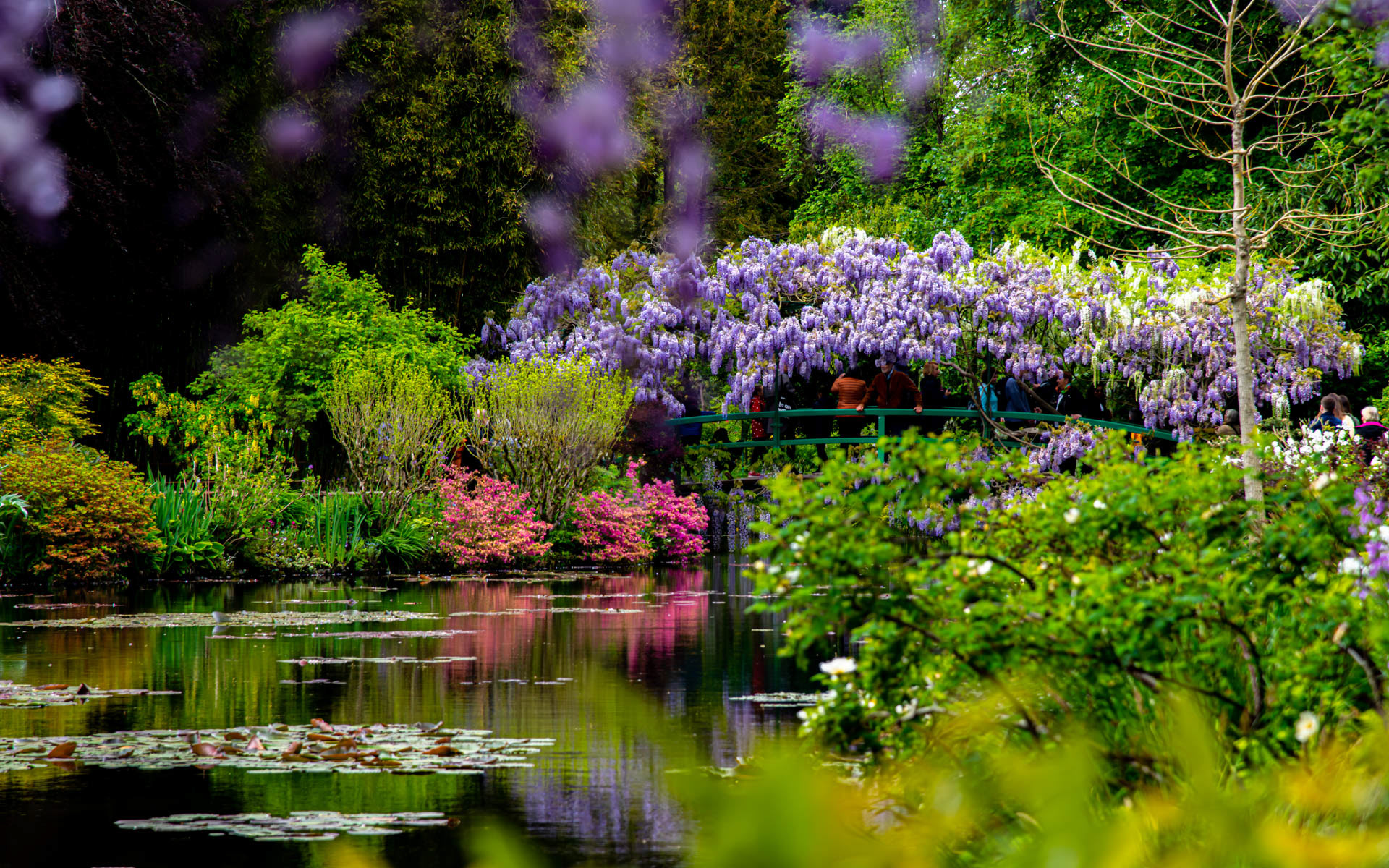 Monet's Garden