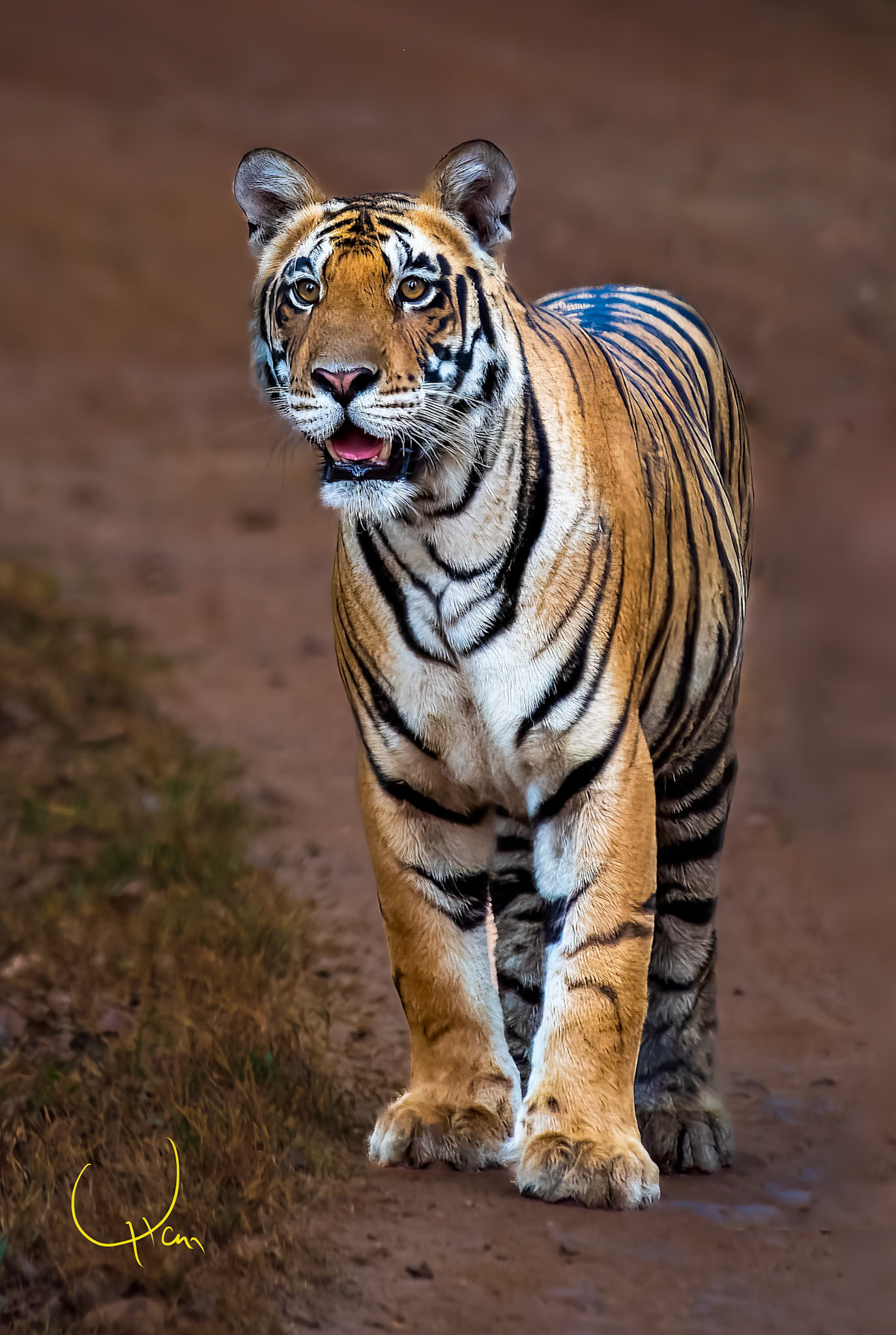 Wow! You are Beautiful