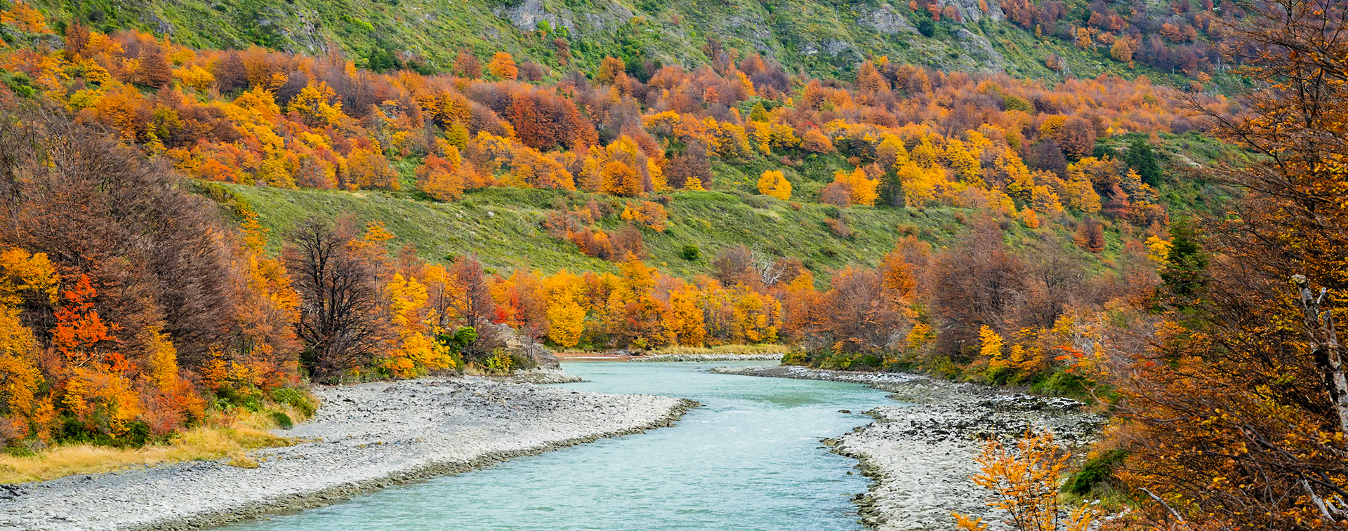 Fall in Patagonia