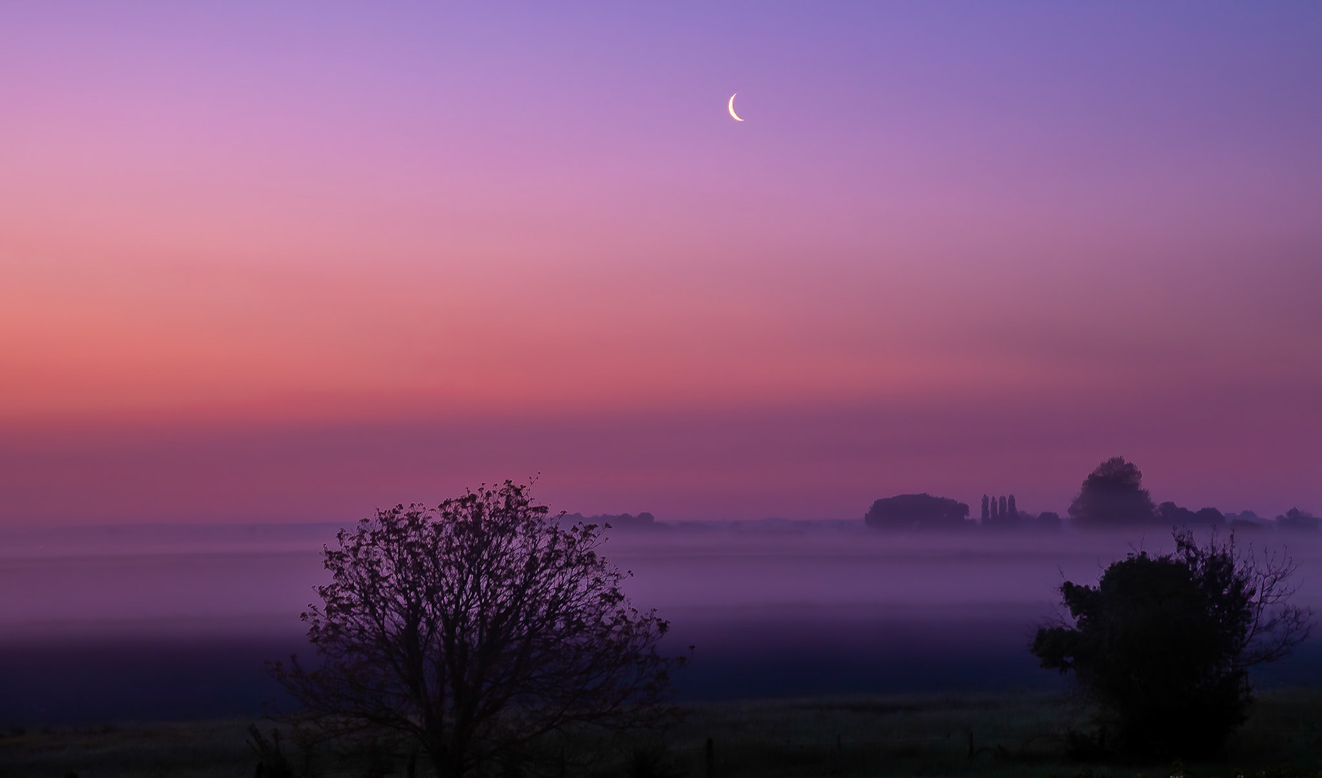 Provence Dawn