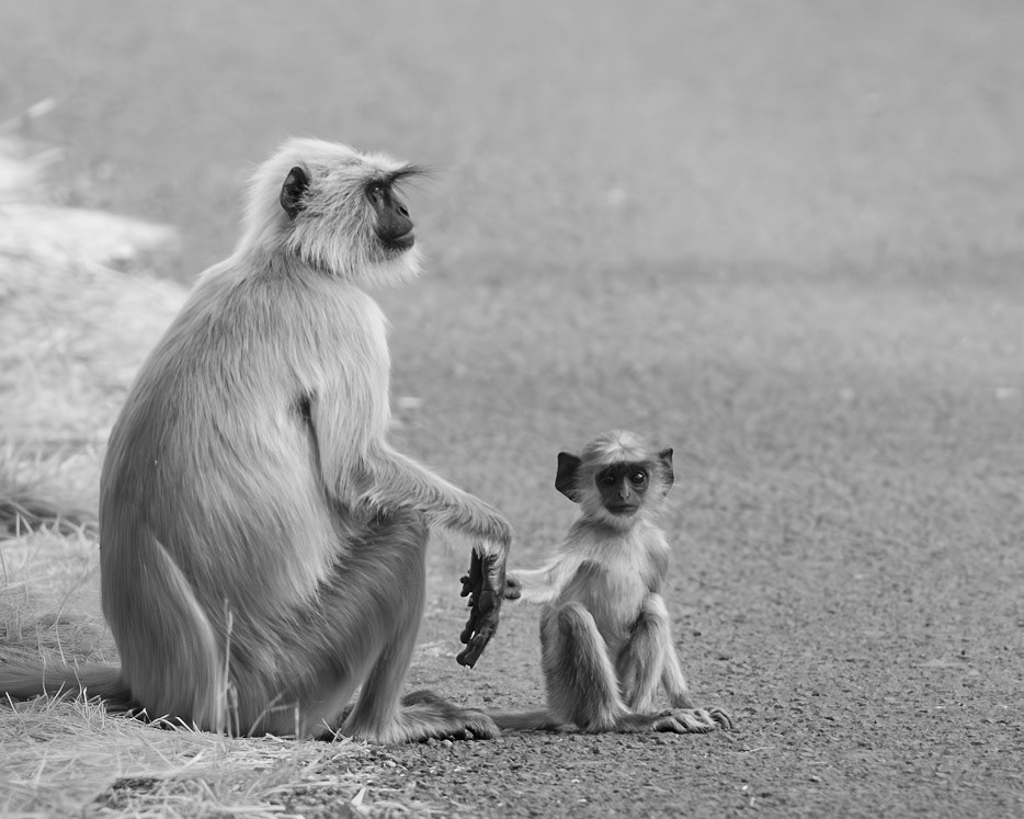 Holding Mom's Hand
