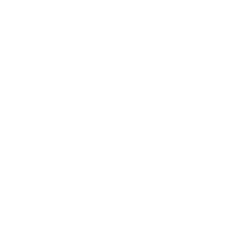 THE SPIES DOWN THE STREET