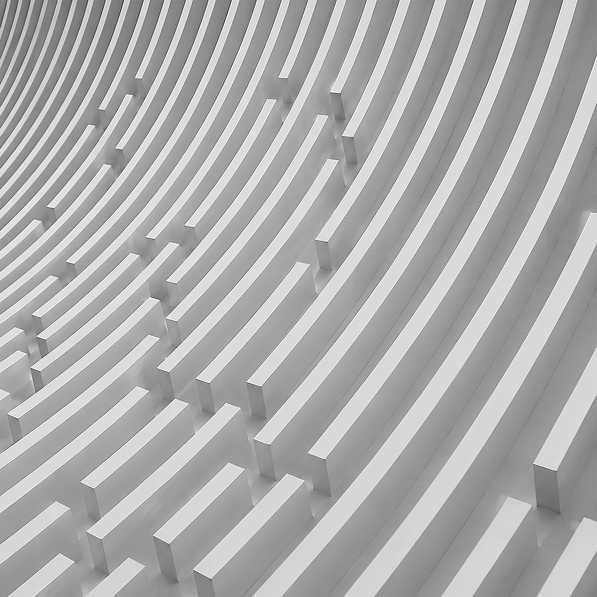 Spine of Order,  Digital Photography, 10x10 cm, 2023, Istanbul