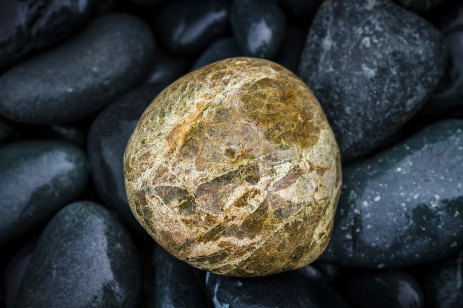 French beach near Victoria BC