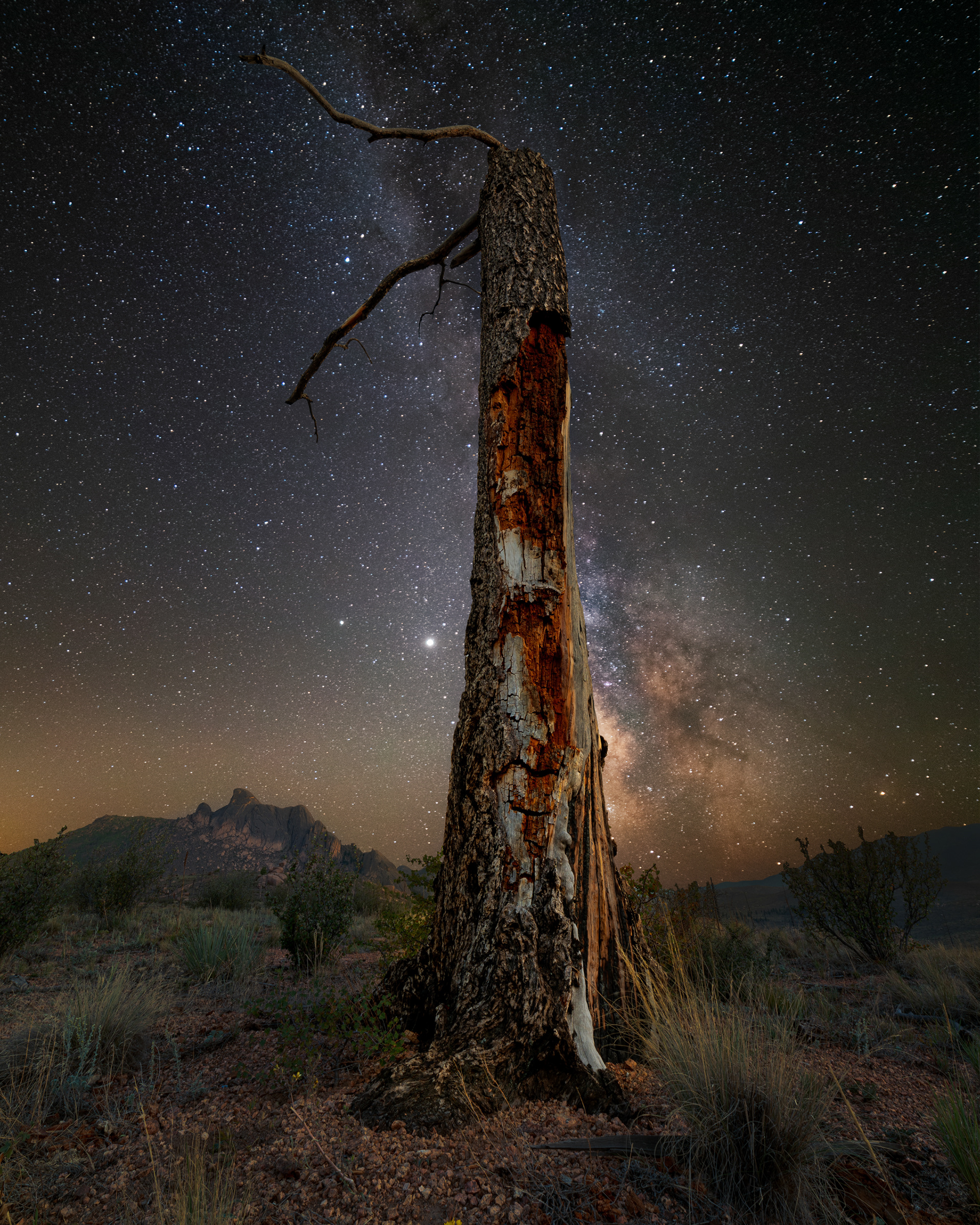 Pike National Forest Milky Way