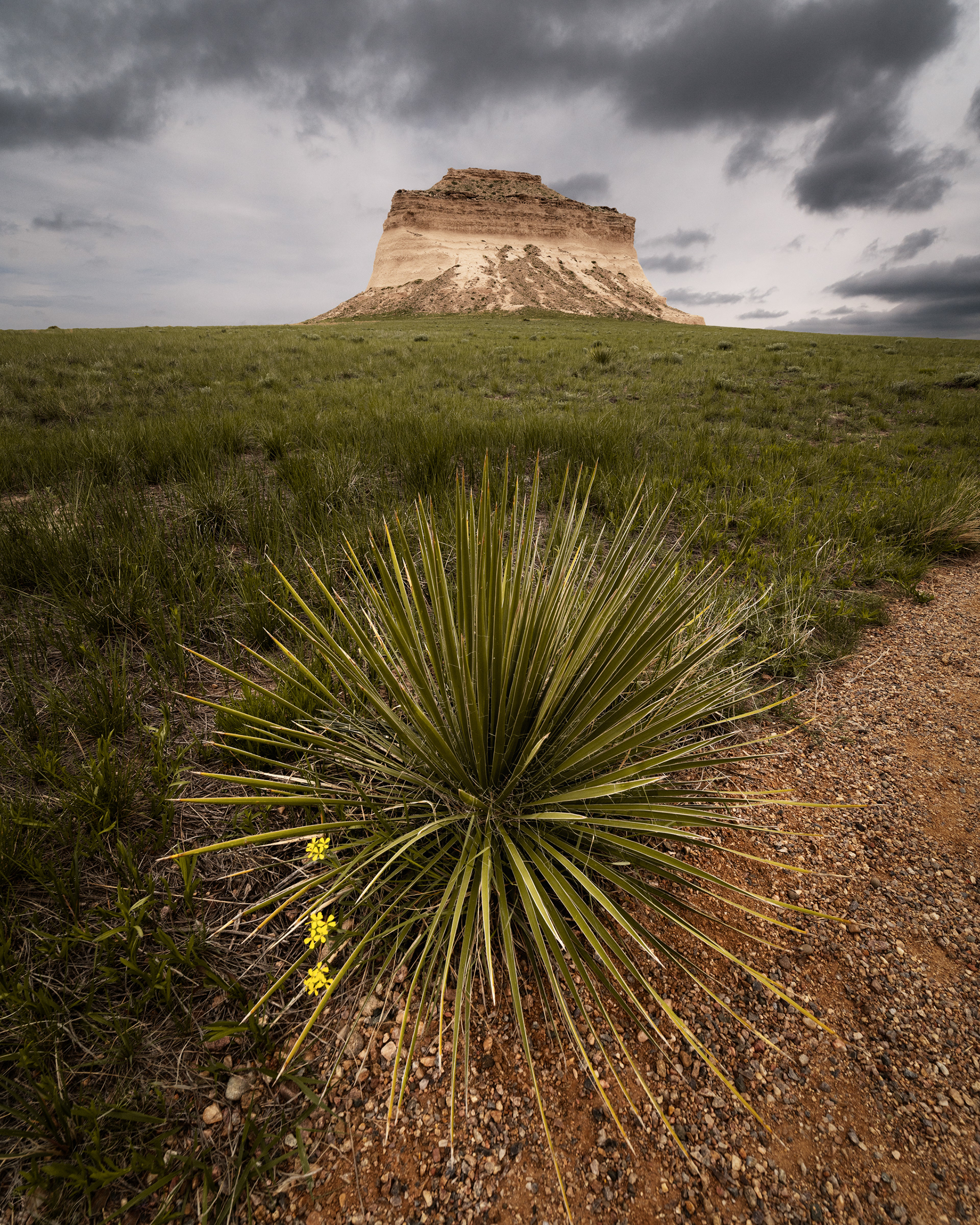 Pawnee National Grasslands