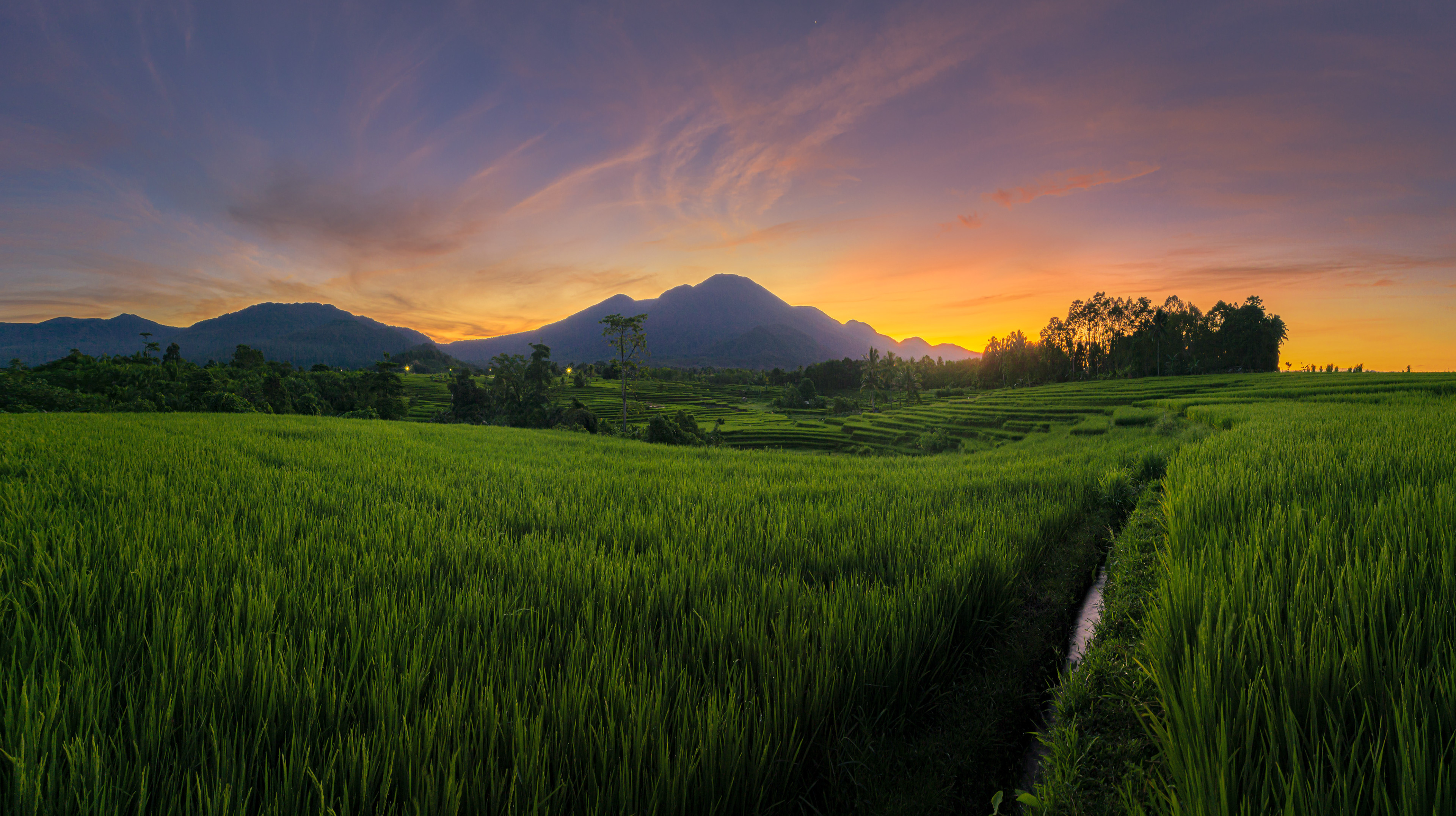 the view of the circle of rice terraces in the morning