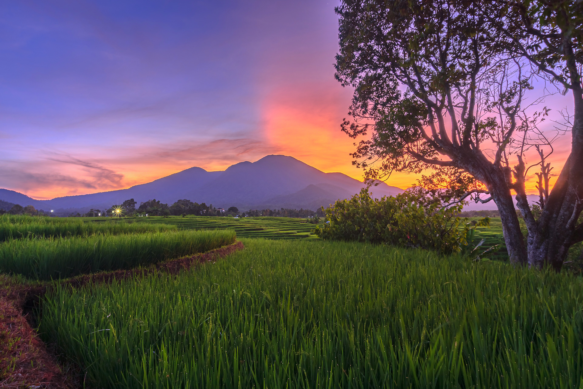 Panoramic view of the morning atmosphere in the village of Kemumu which is at the foot of the mountain range