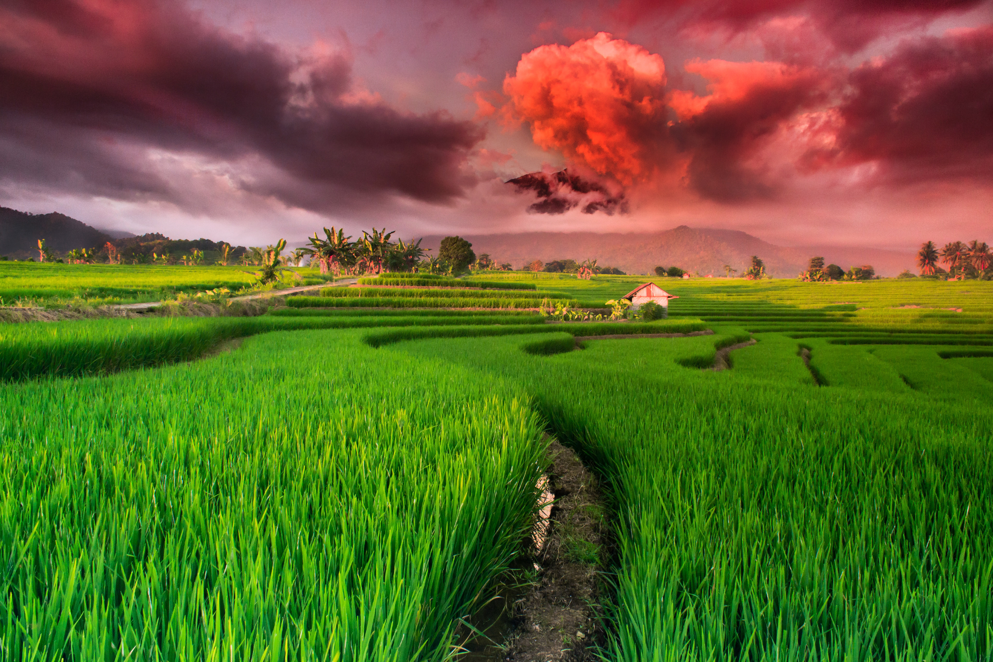 Mushroom cloud over the rice fields in red This is the moment where the clouds cover almost completely the mountain ranges