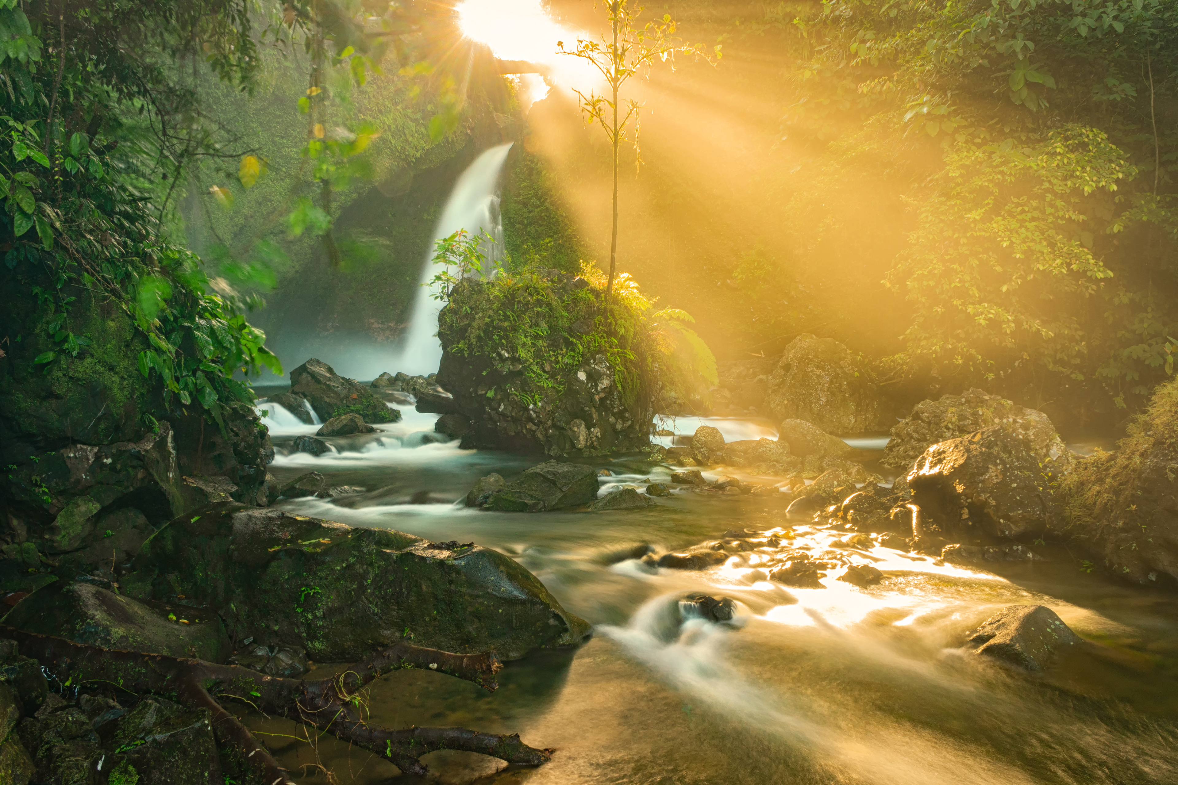 Morning view at the waterfall with the sun breaking the leaves the morning view at the waterfall with the sun hitting the leaves and the rocky