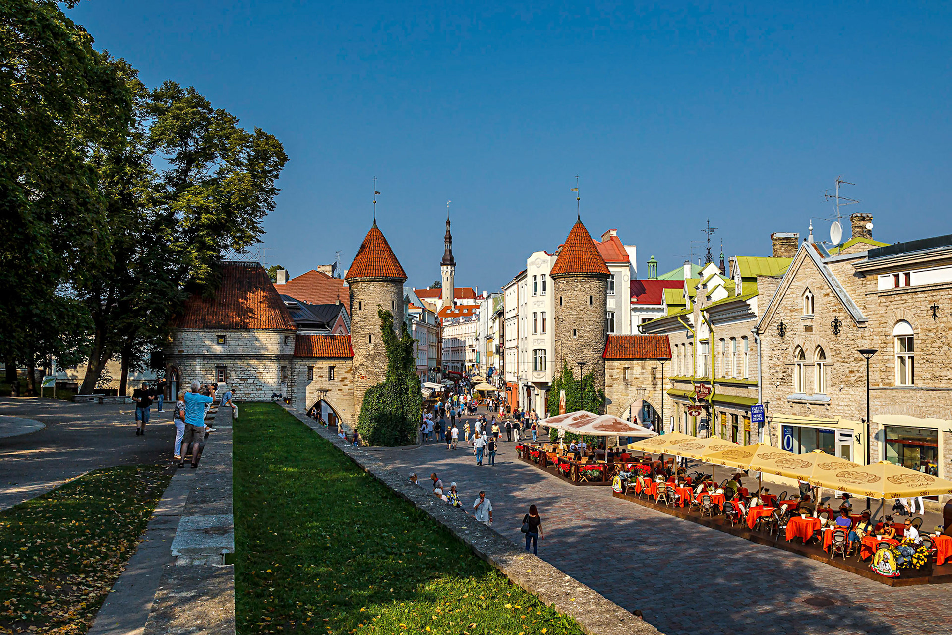 Tallin