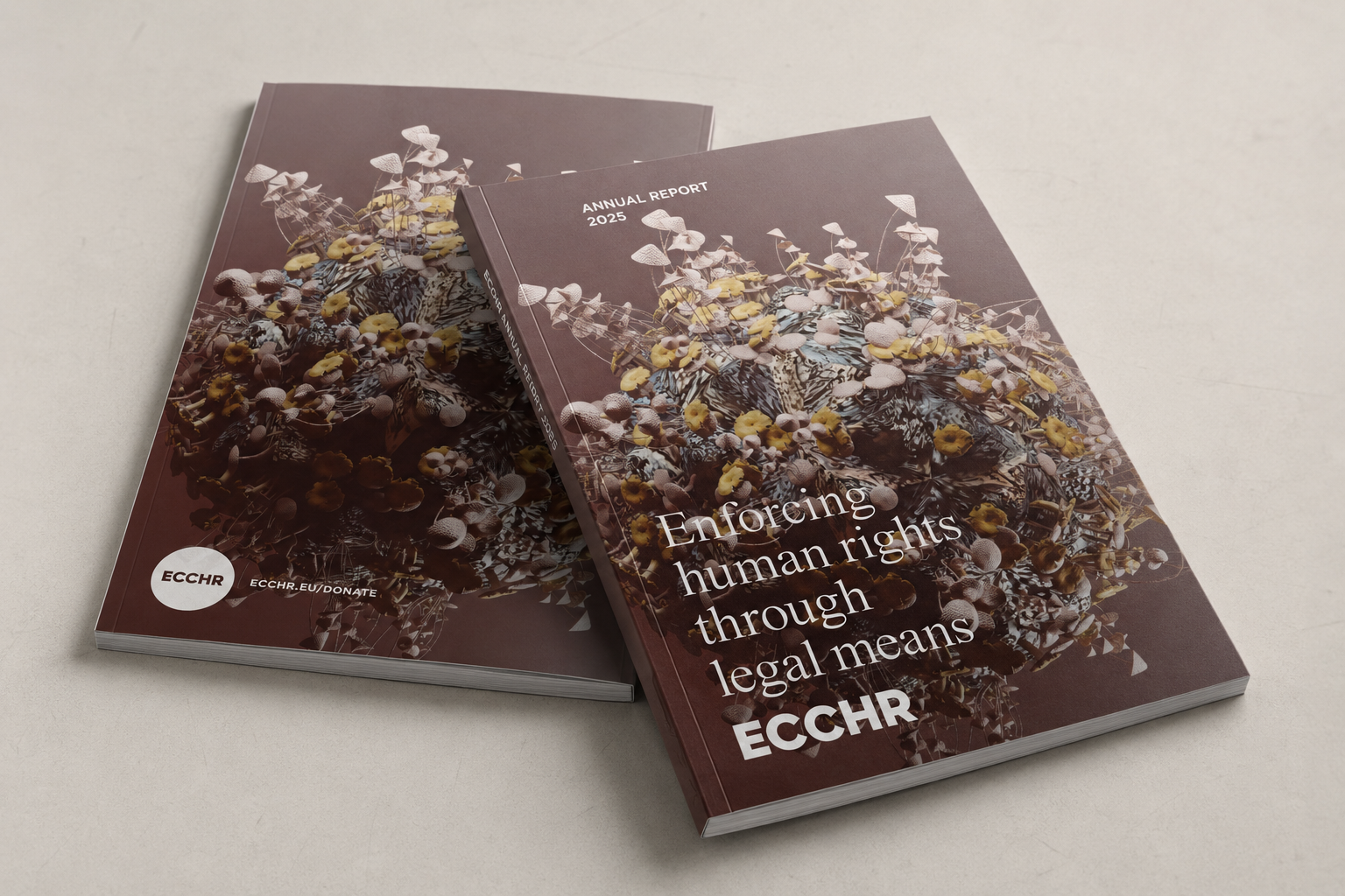 ECCHR Annual Report 2025